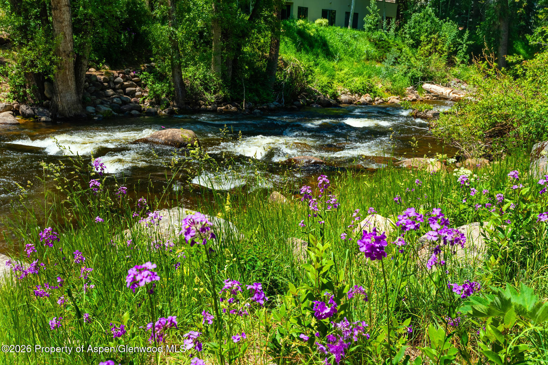 979 Queen Street Aspen CO 81611