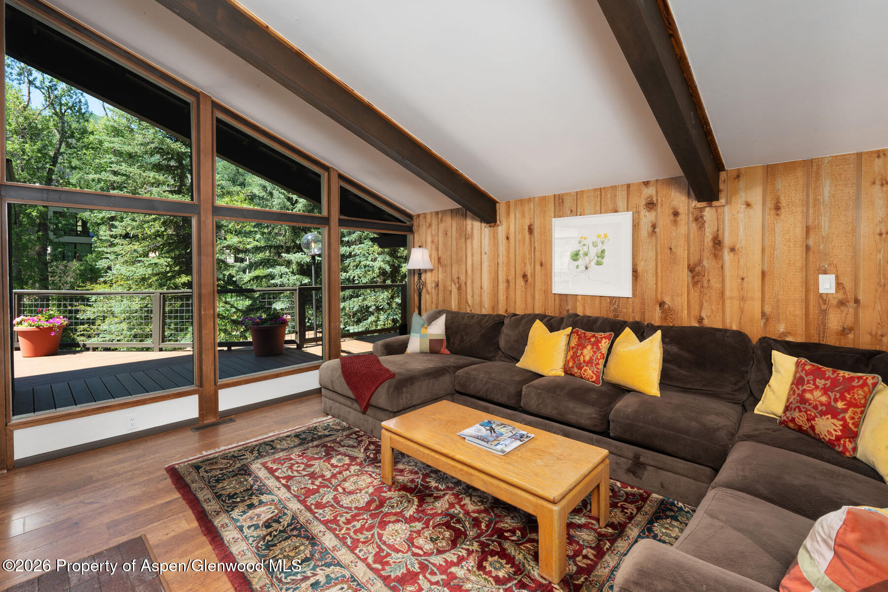 979 Queen Street Aspen CO 81611