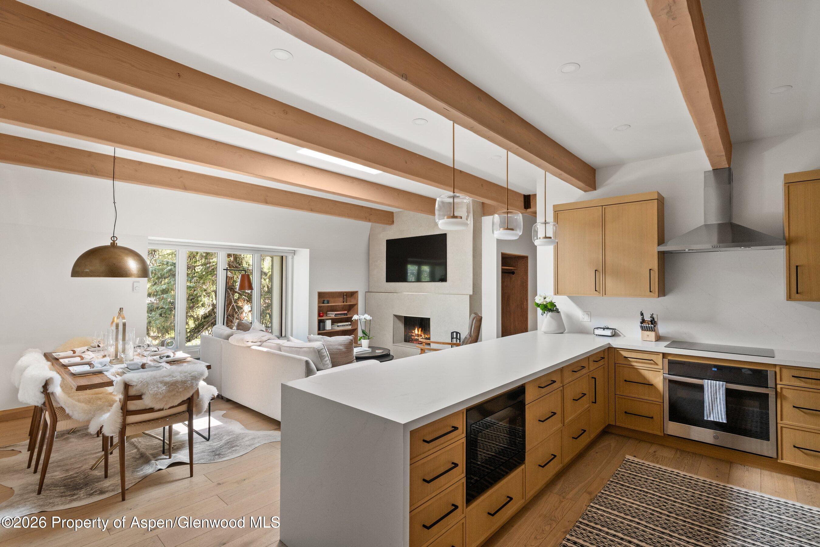 Aspen CO, 731 E Durant Avenue, Unit 17