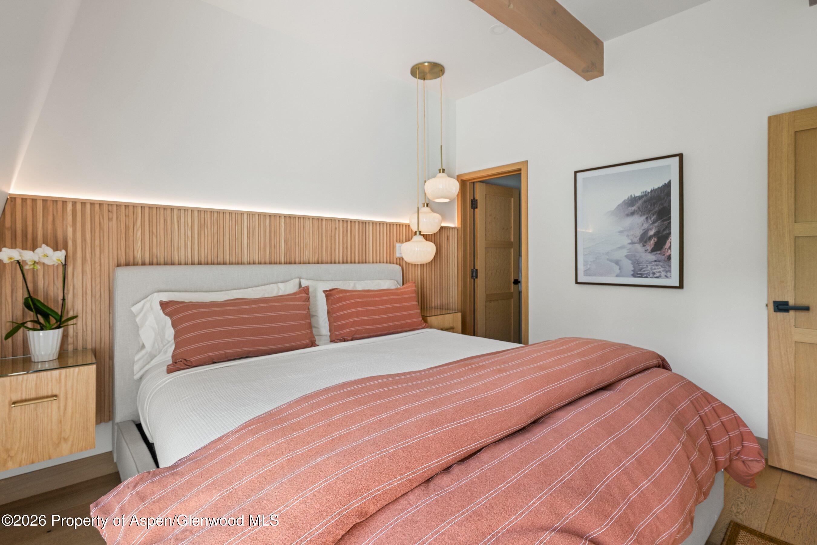 731 E Durant Avenue Aspen CO 81611