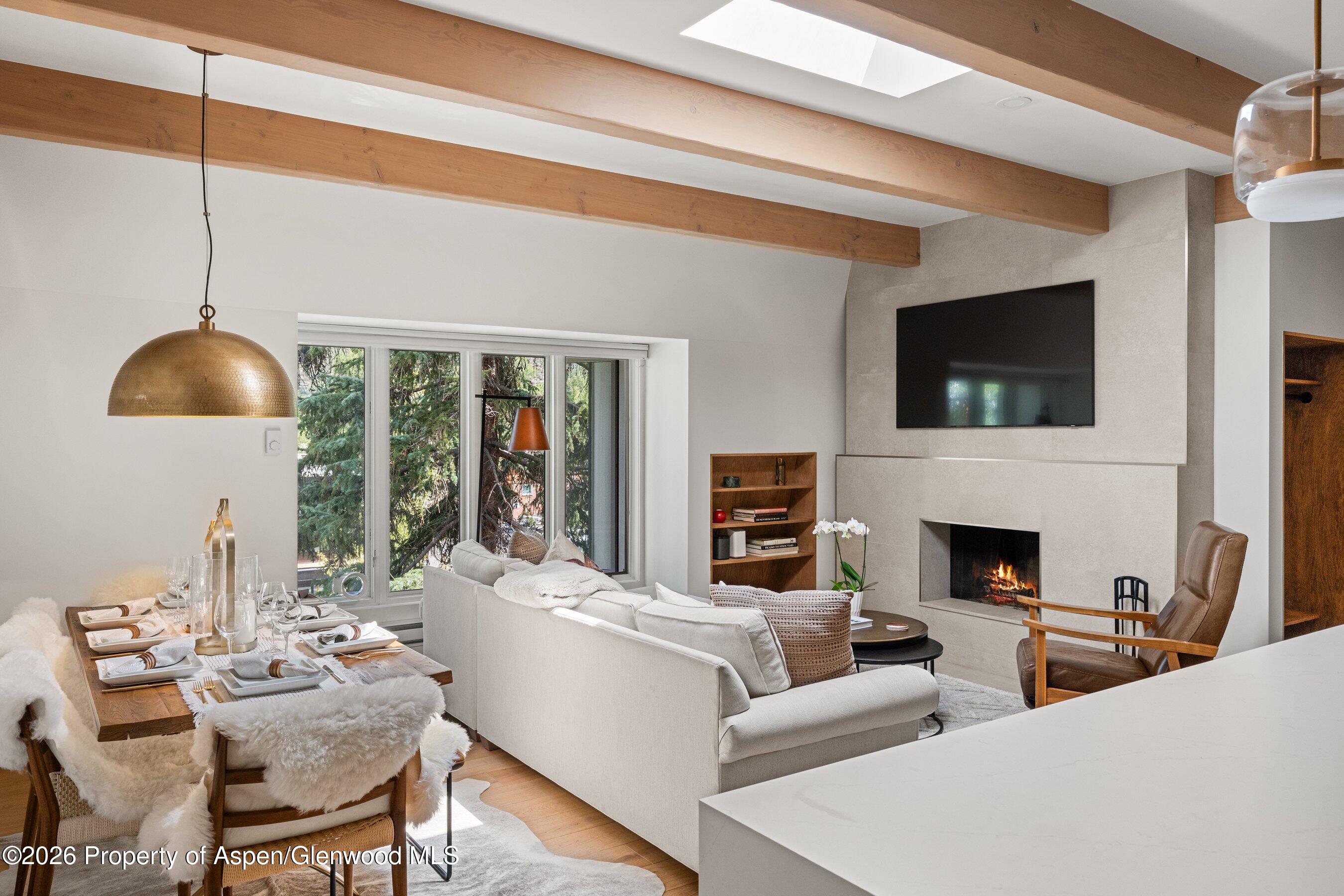 731 E Durant Avenue Aspen CO 81611