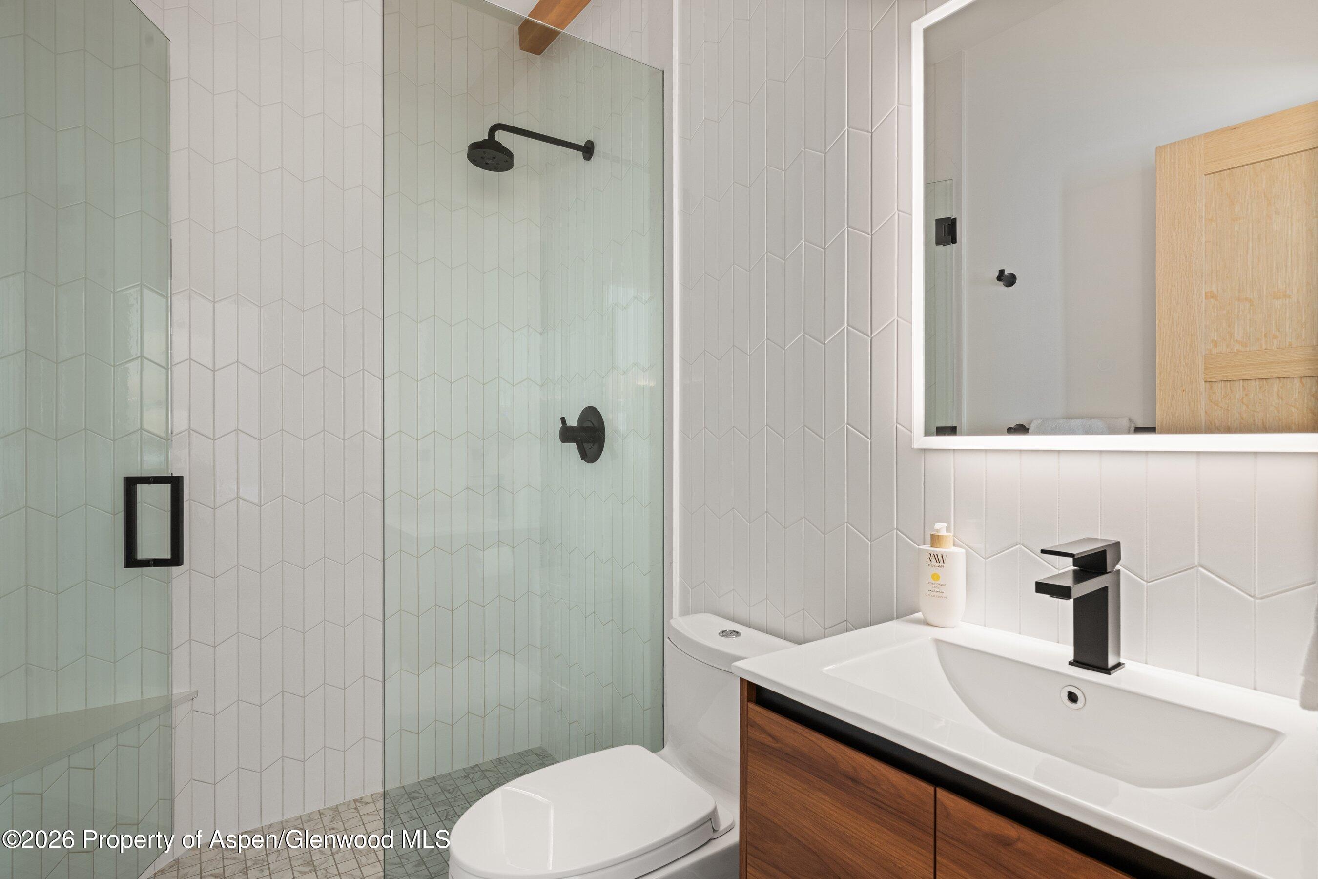 731 E Durant Avenue Aspen CO 81611