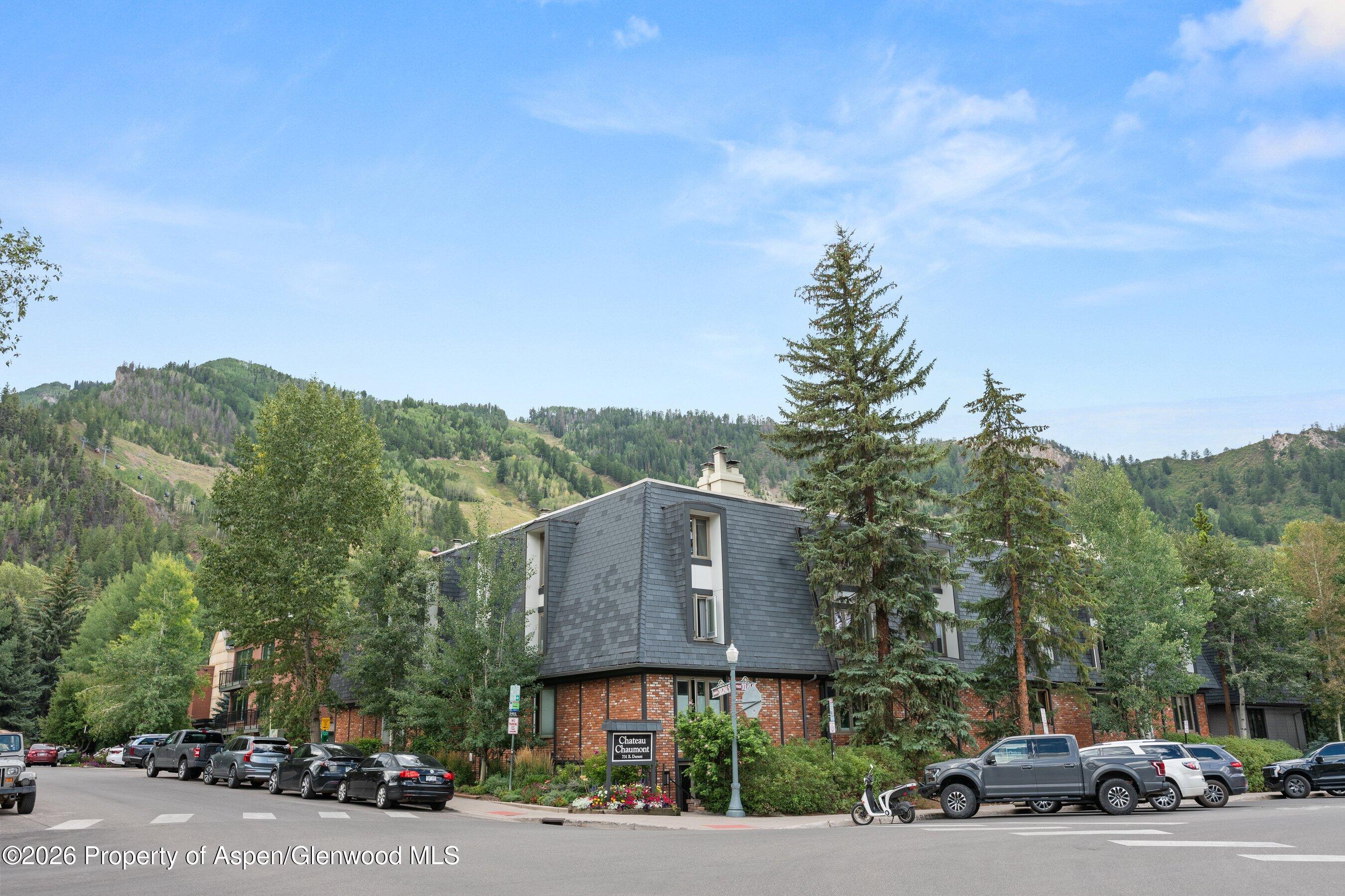 731 E Durant Avenue Aspen CO 81611