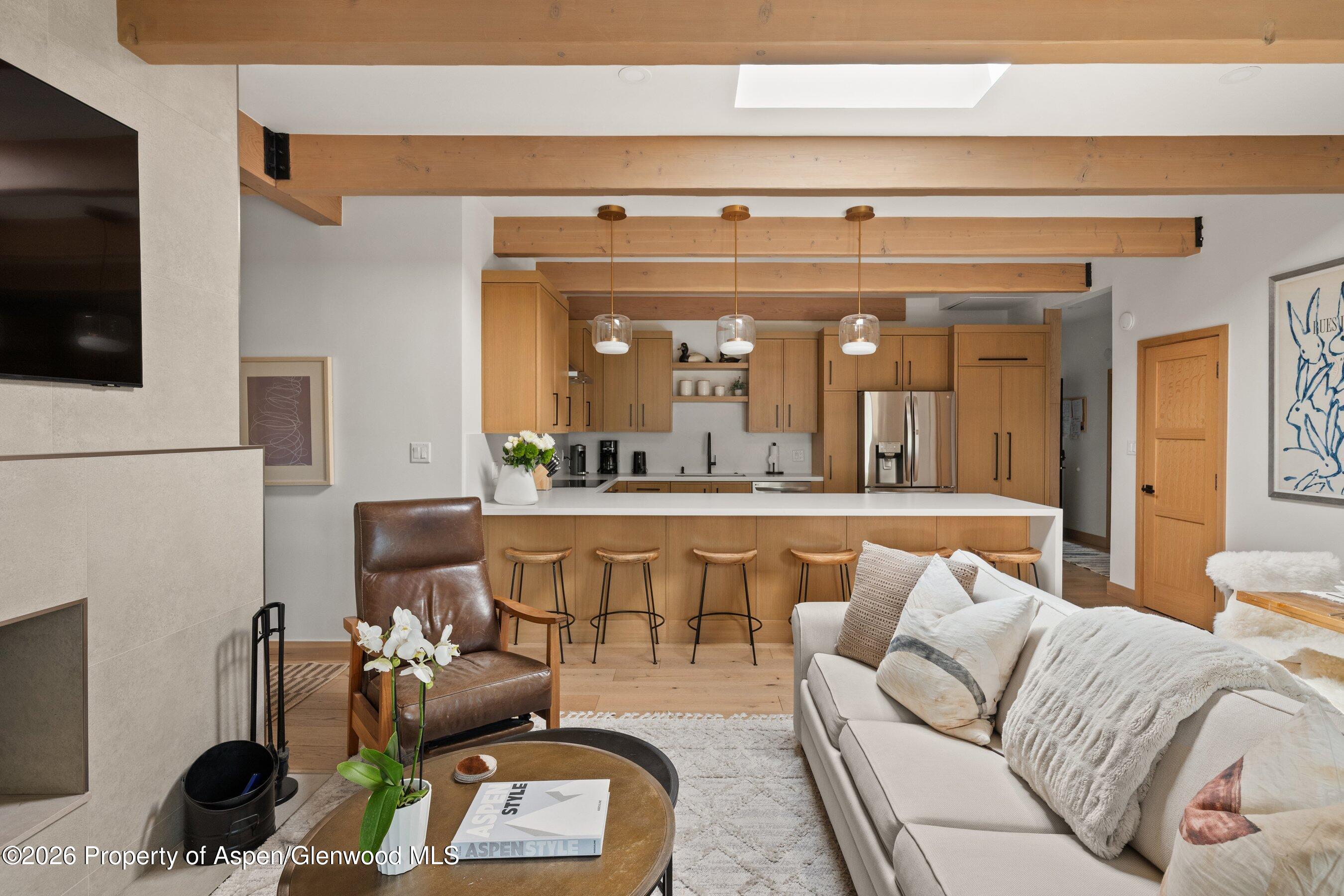 731 E Durant Avenue Aspen CO 81611