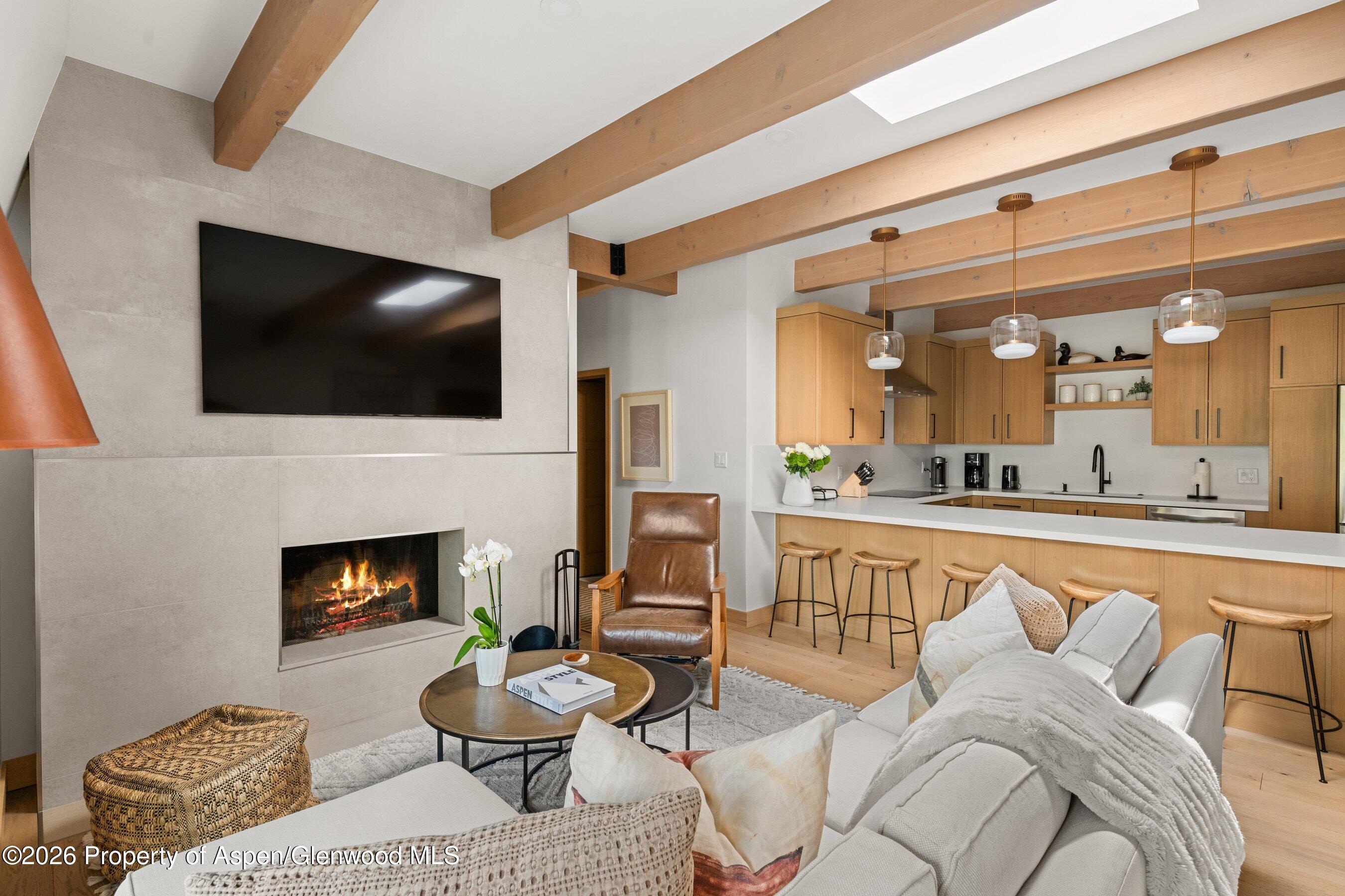 731 E Durant Avenue Aspen CO 81611