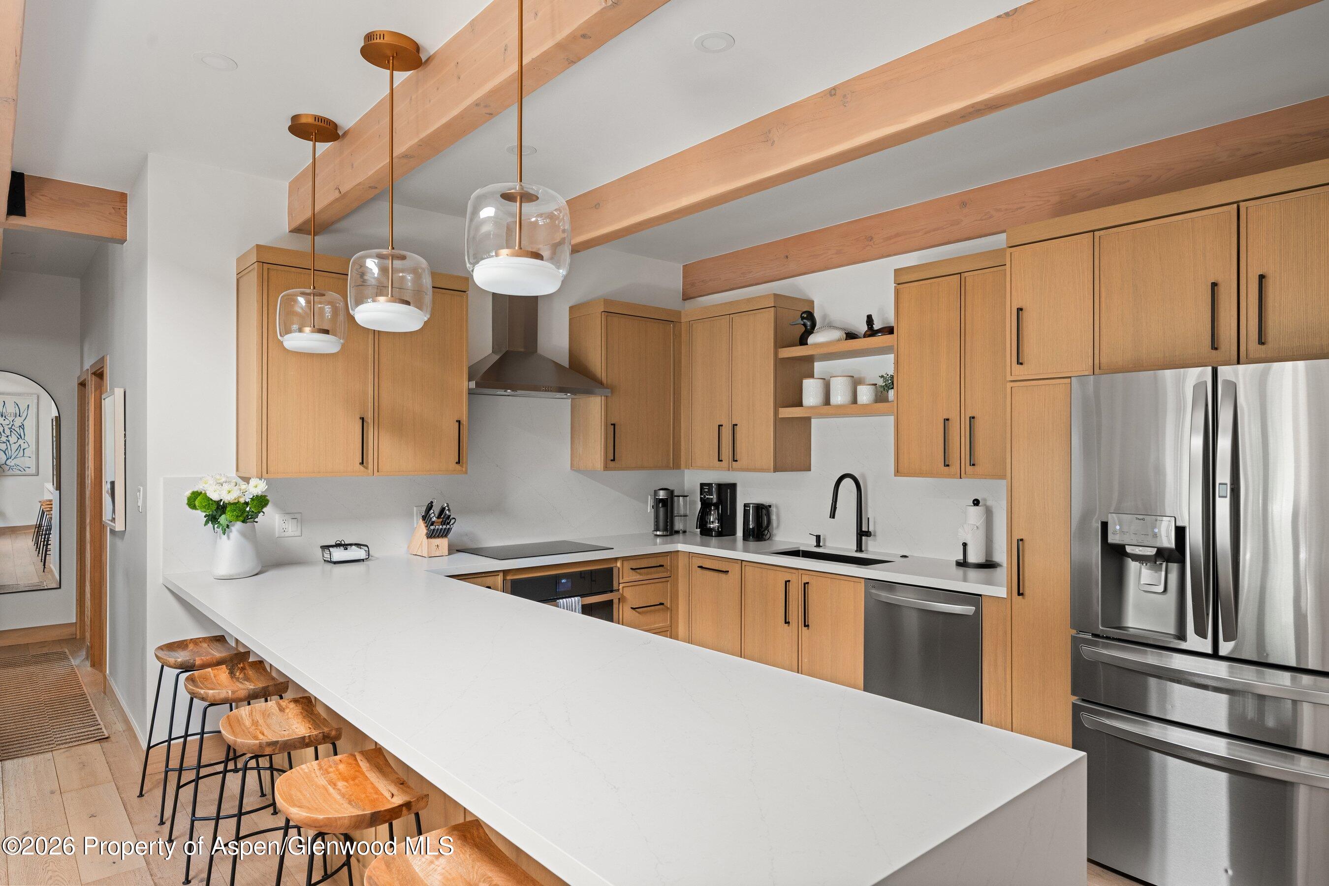 731 E Durant Avenue Aspen CO 81611