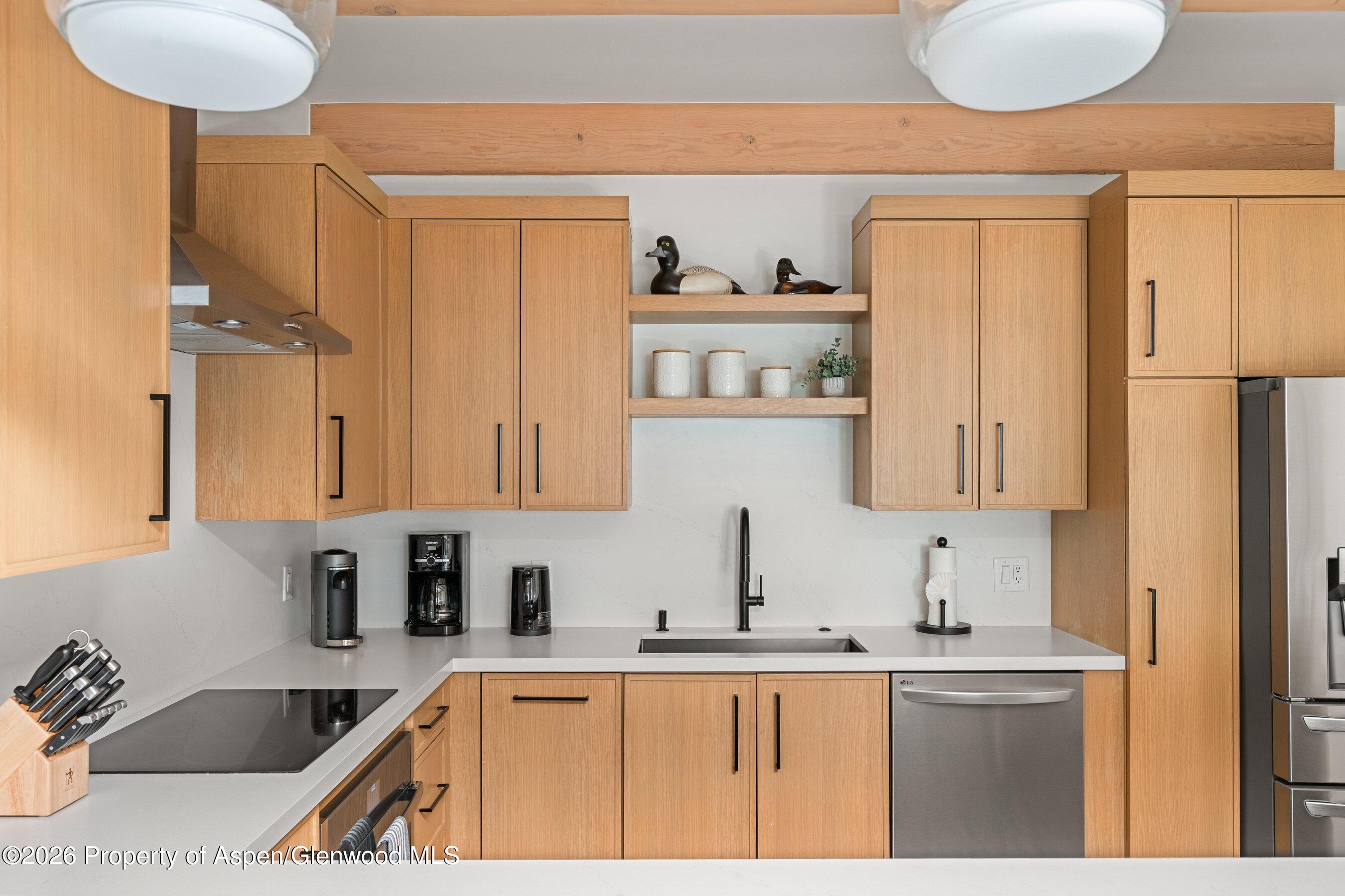 731 E Durant Avenue Aspen CO 81611