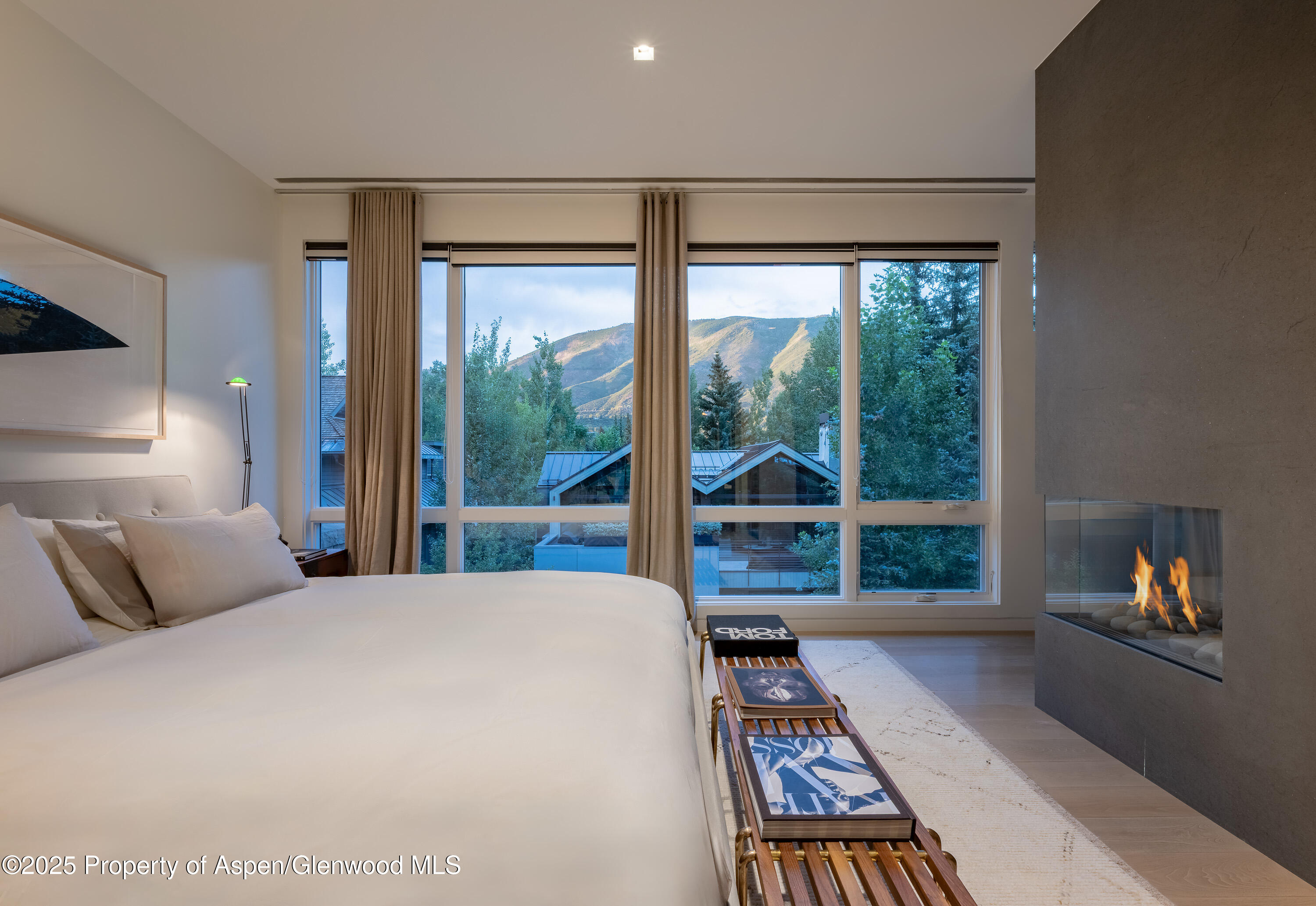 100 E Cooper Avenue Aspen CO 81611