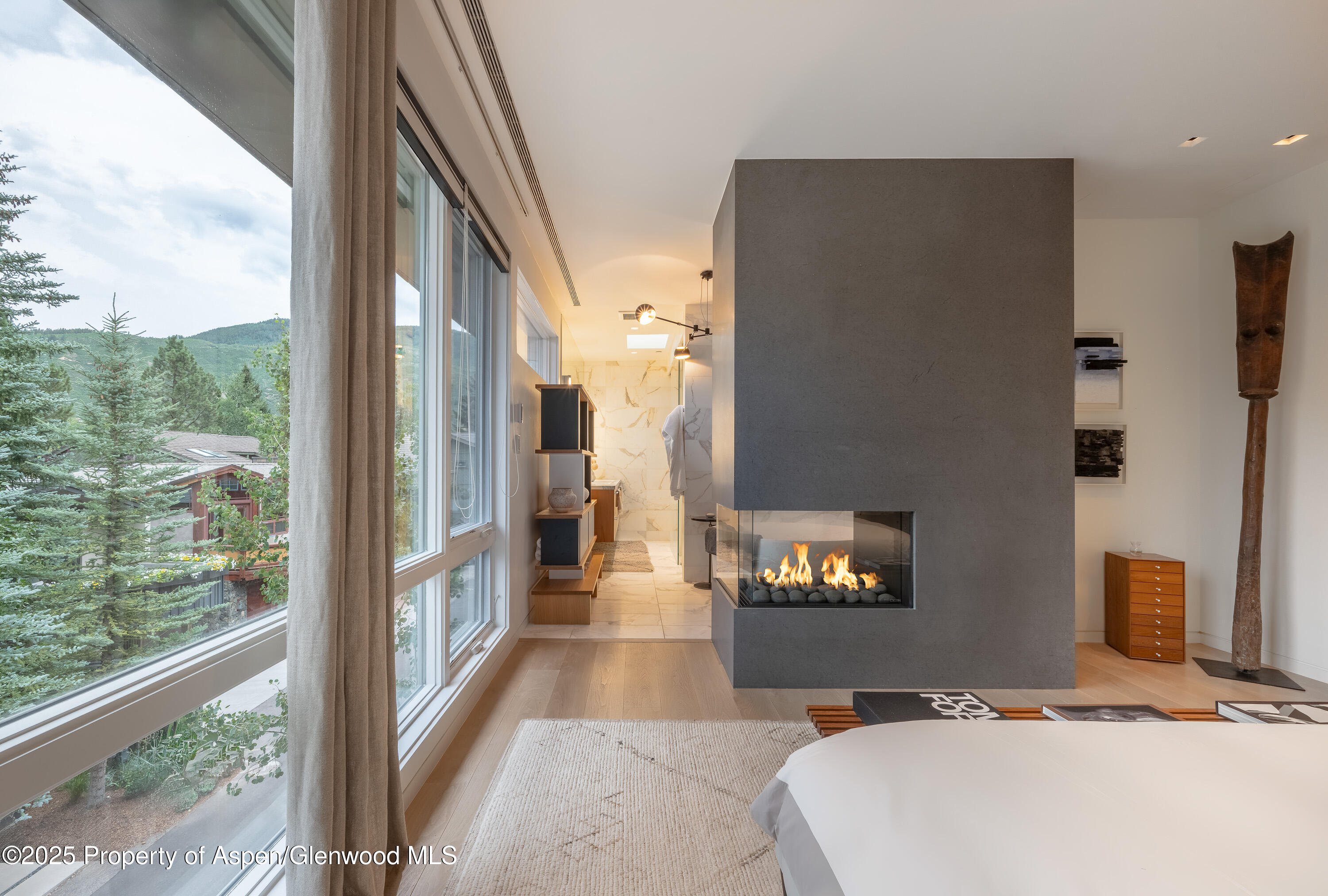 100 E Cooper Avenue Aspen CO 81611