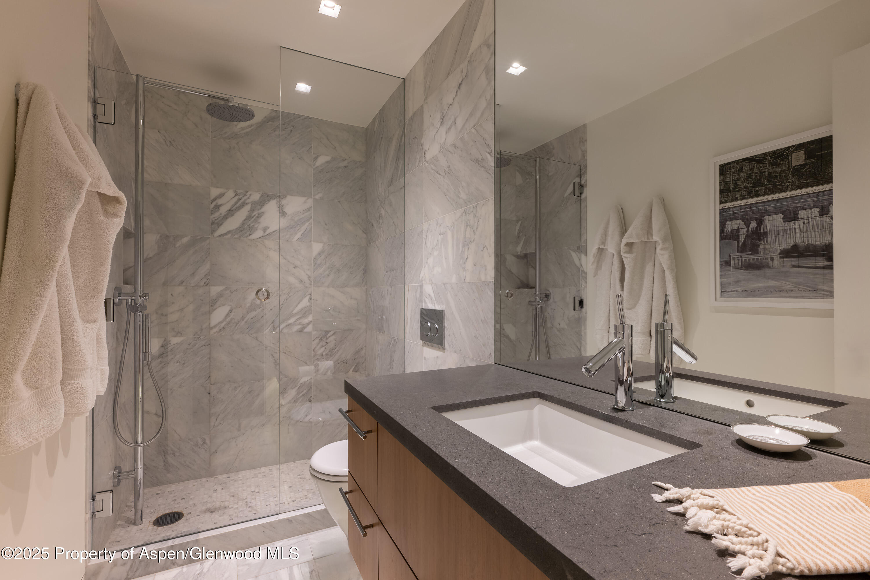 100 E Cooper Avenue Aspen CO 81611