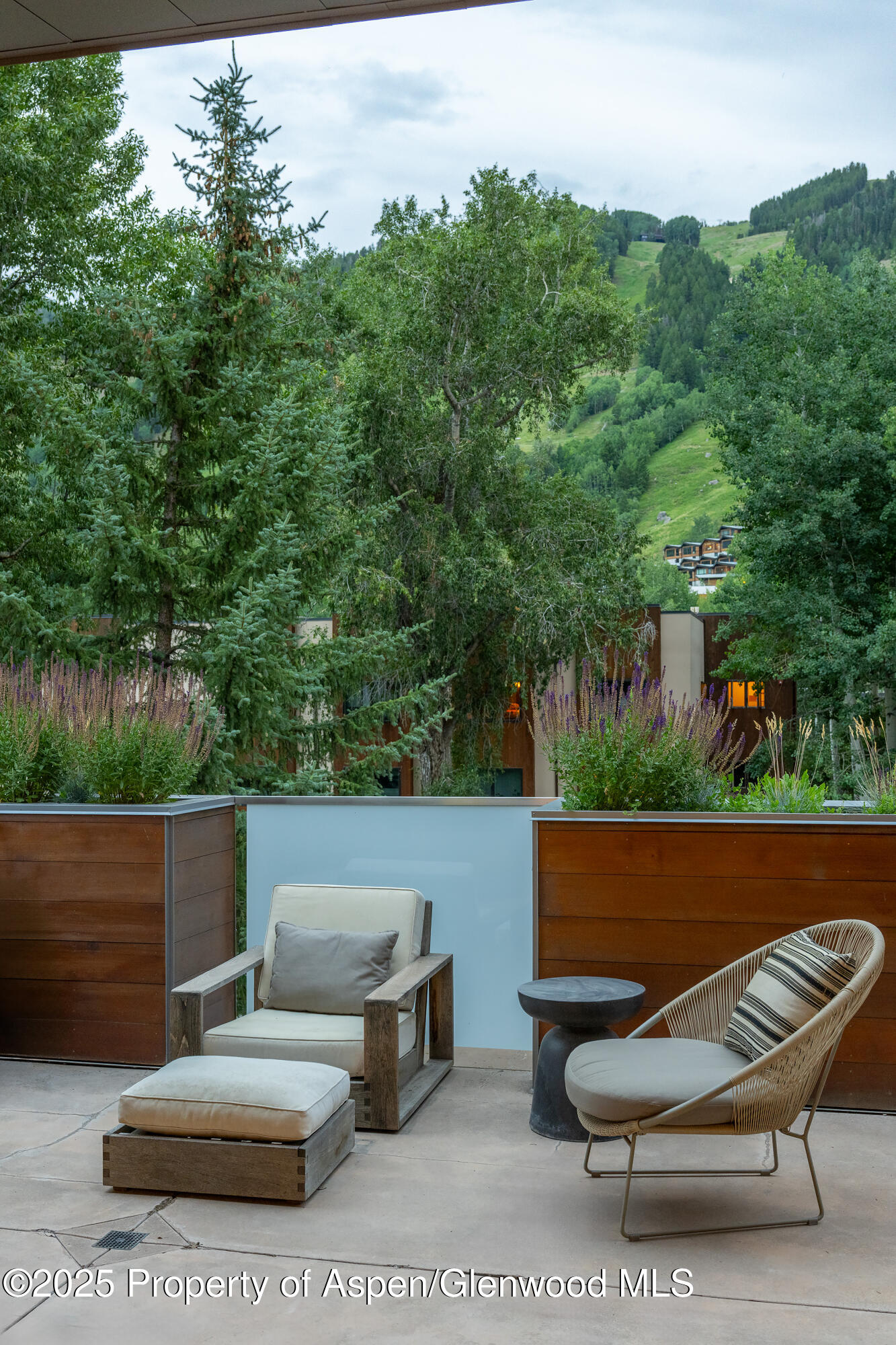 100 E Cooper Avenue Aspen CO 81611