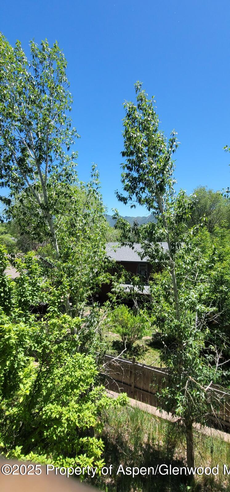 668 Alder Ridge Lane New Castle CO 81647