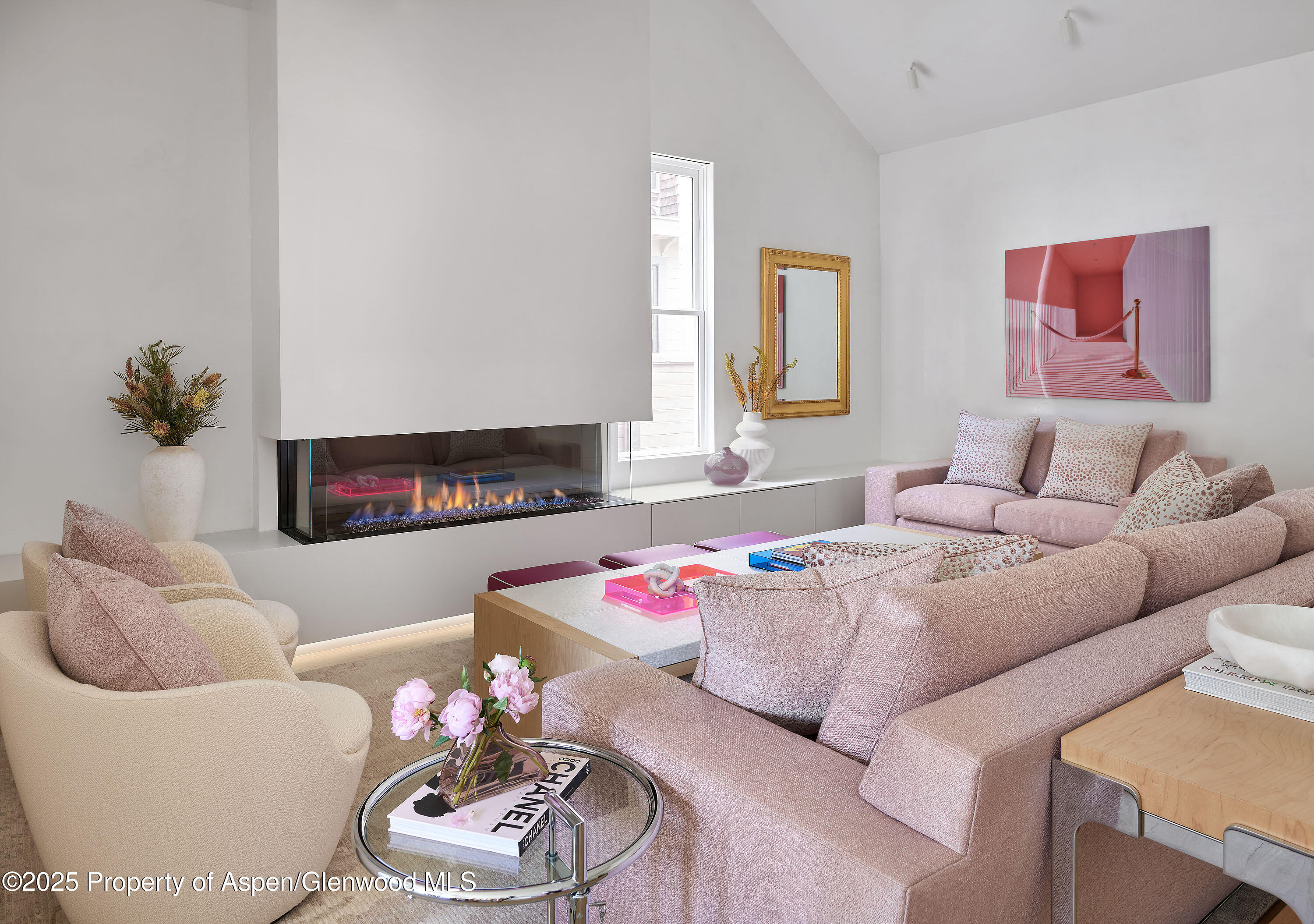 227 E Bleeker Street Aspen CO 81611