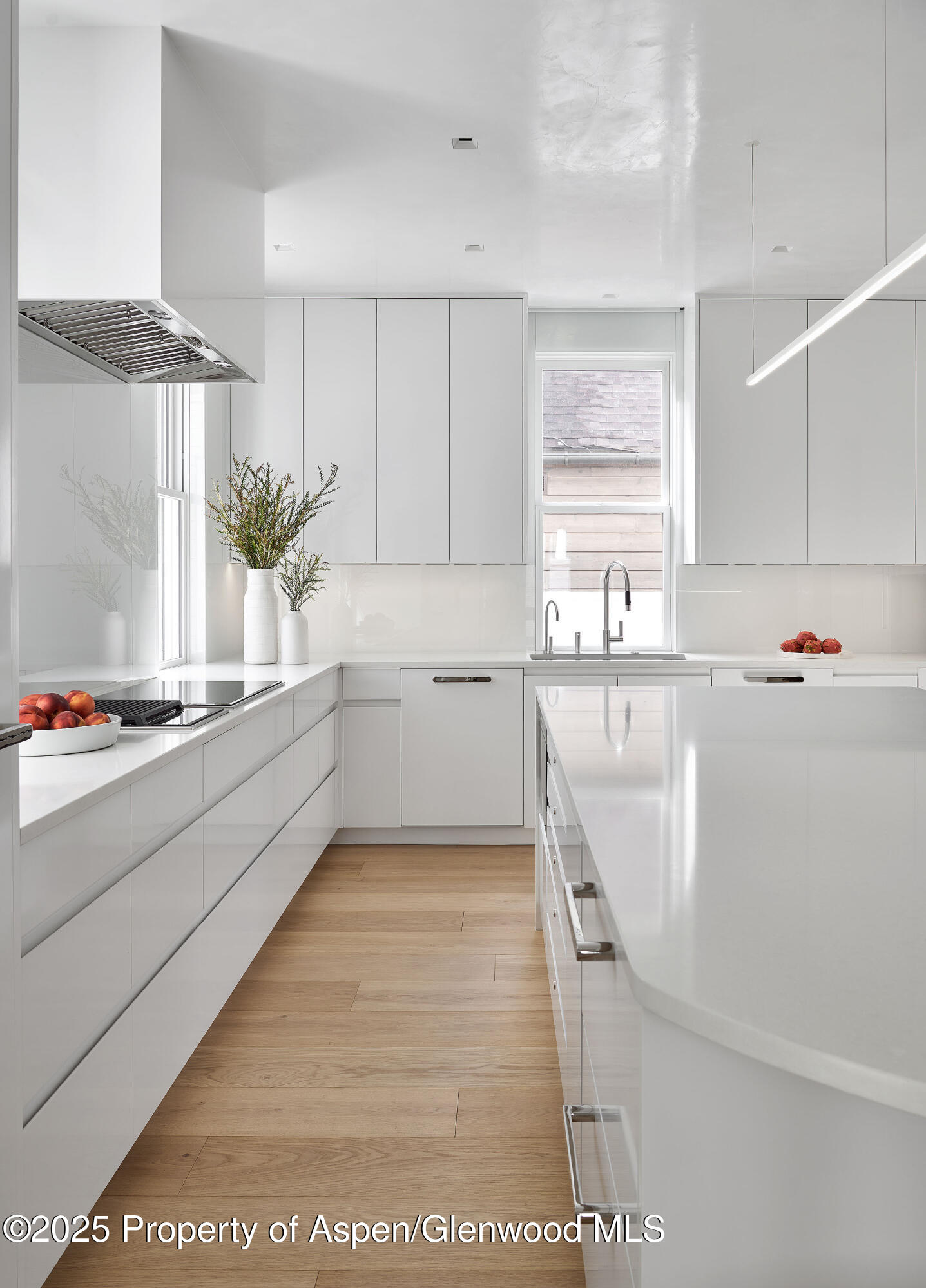 227 E Bleeker Street Aspen CO 81611