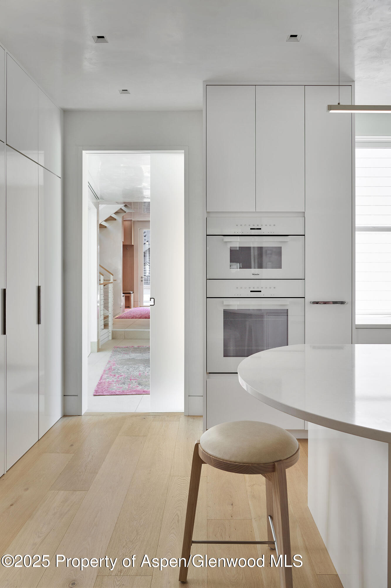 227 E Bleeker Street Aspen CO 81611