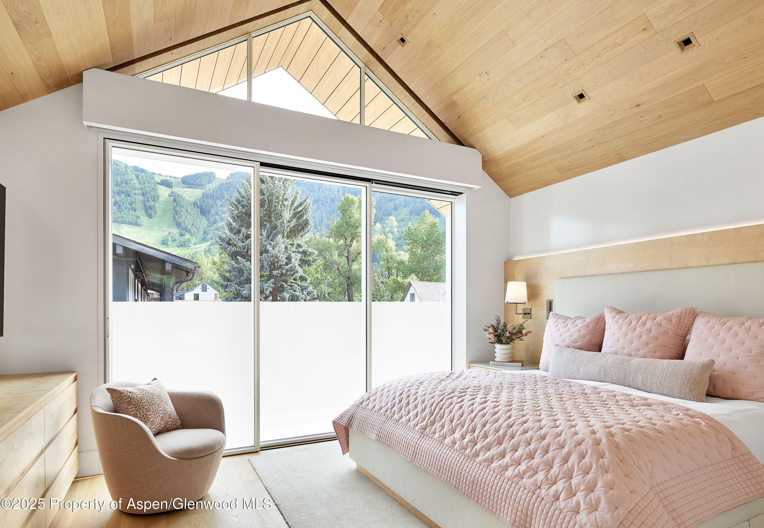 227 E Bleeker Street Aspen CO 81611