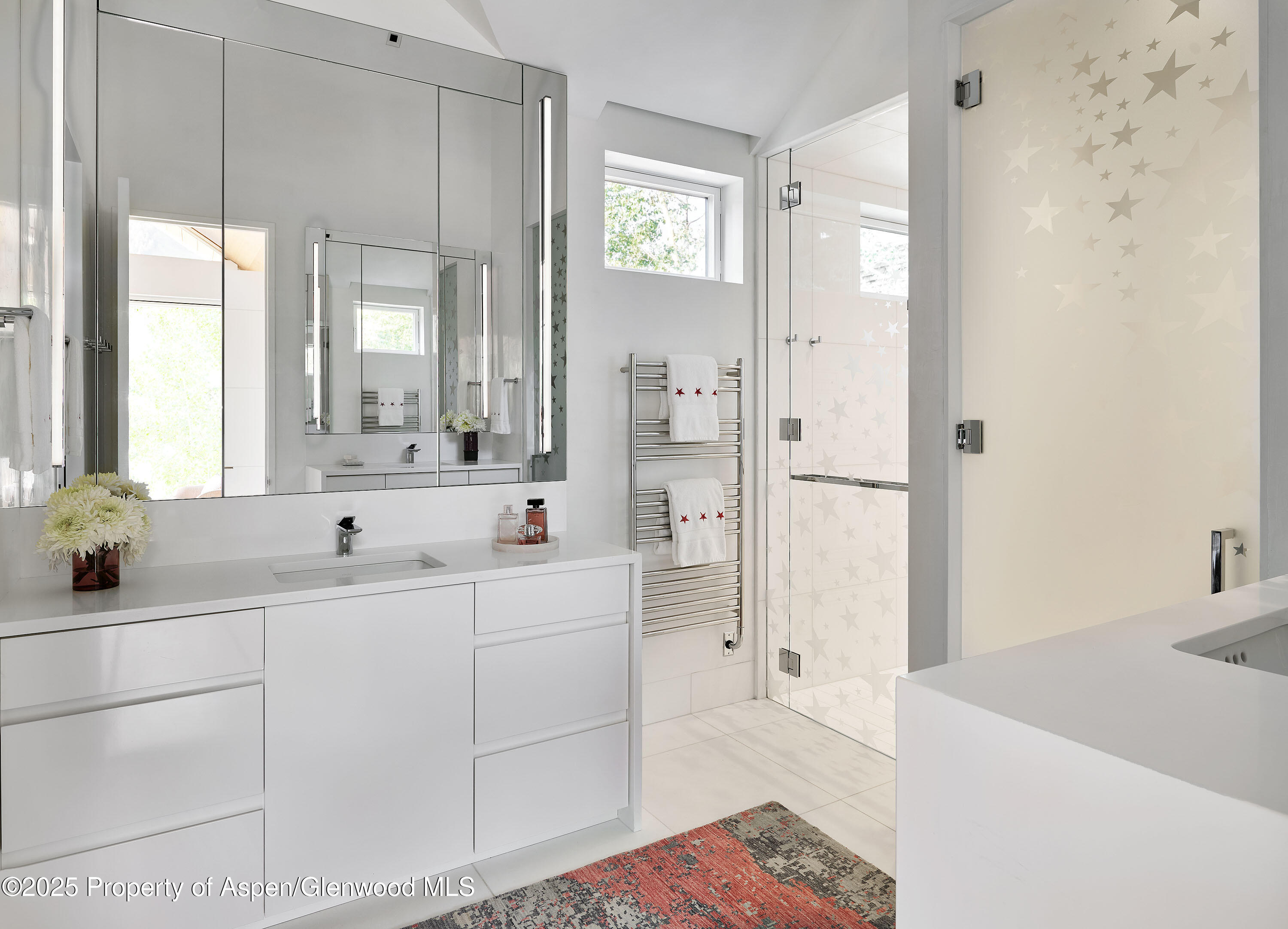 227 E Bleeker Street Aspen CO 81611