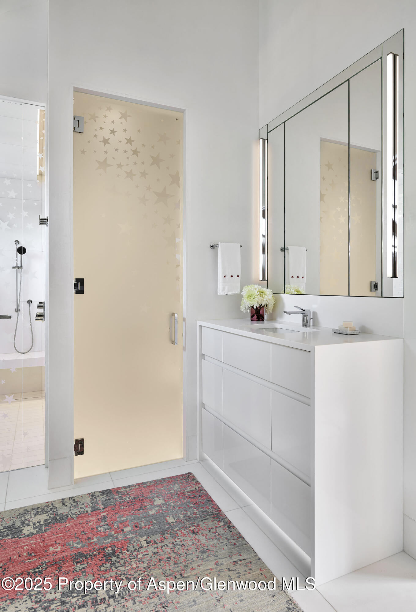 227 E Bleeker Street Aspen CO 81611