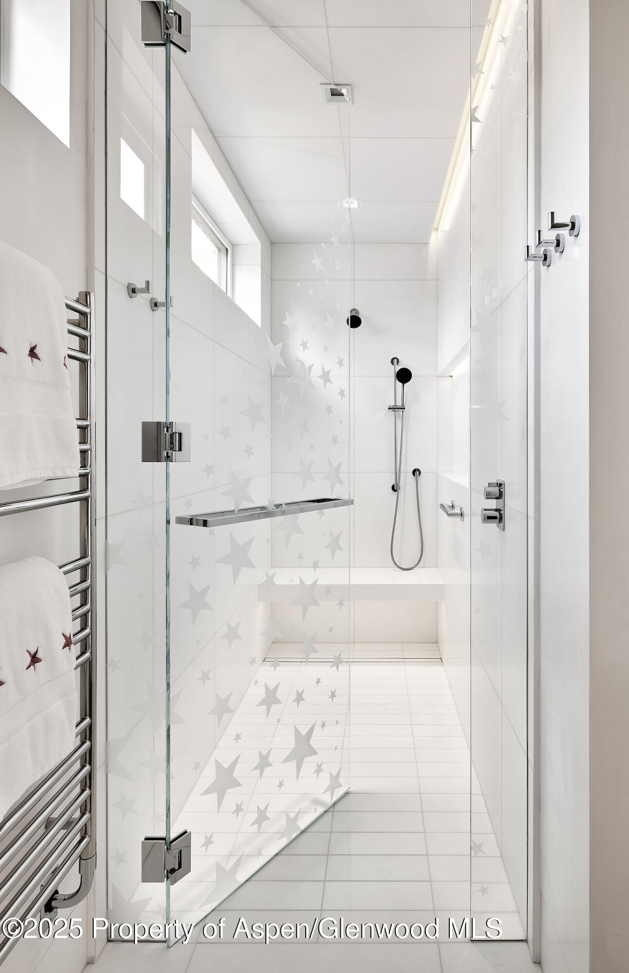 227 E Bleeker Street Aspen CO 81611