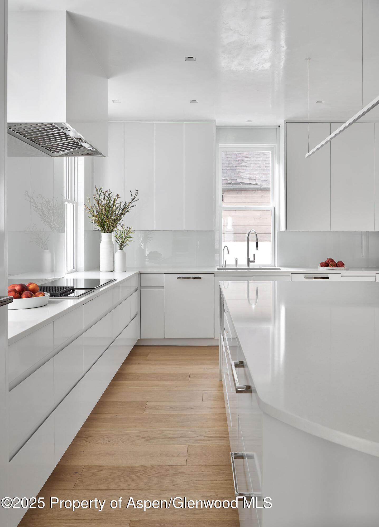 227 E Bleeker Street Aspen CO 81611