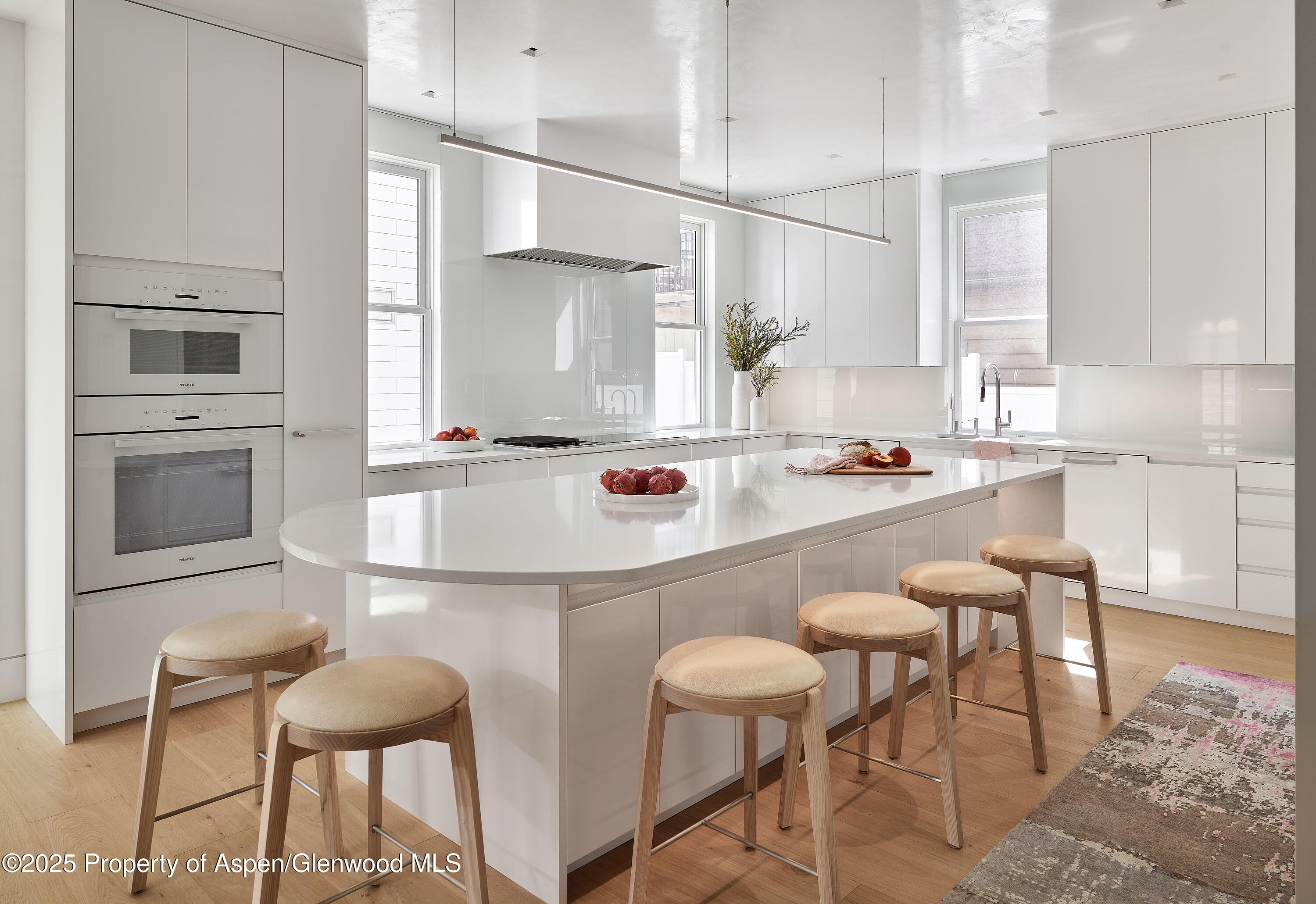 227 E Bleeker Street Aspen CO 81611