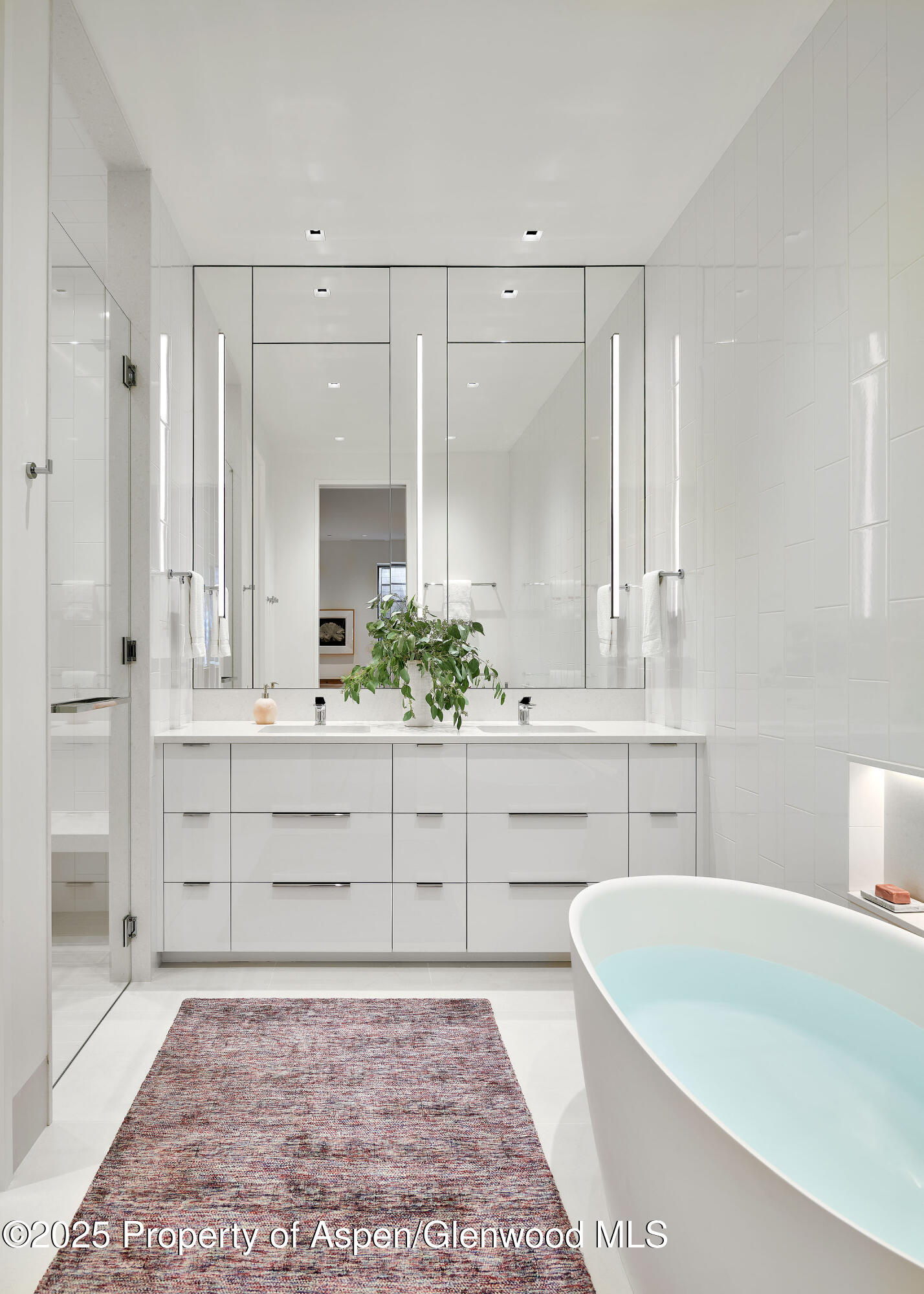 227 E Bleeker Street Aspen CO 81611