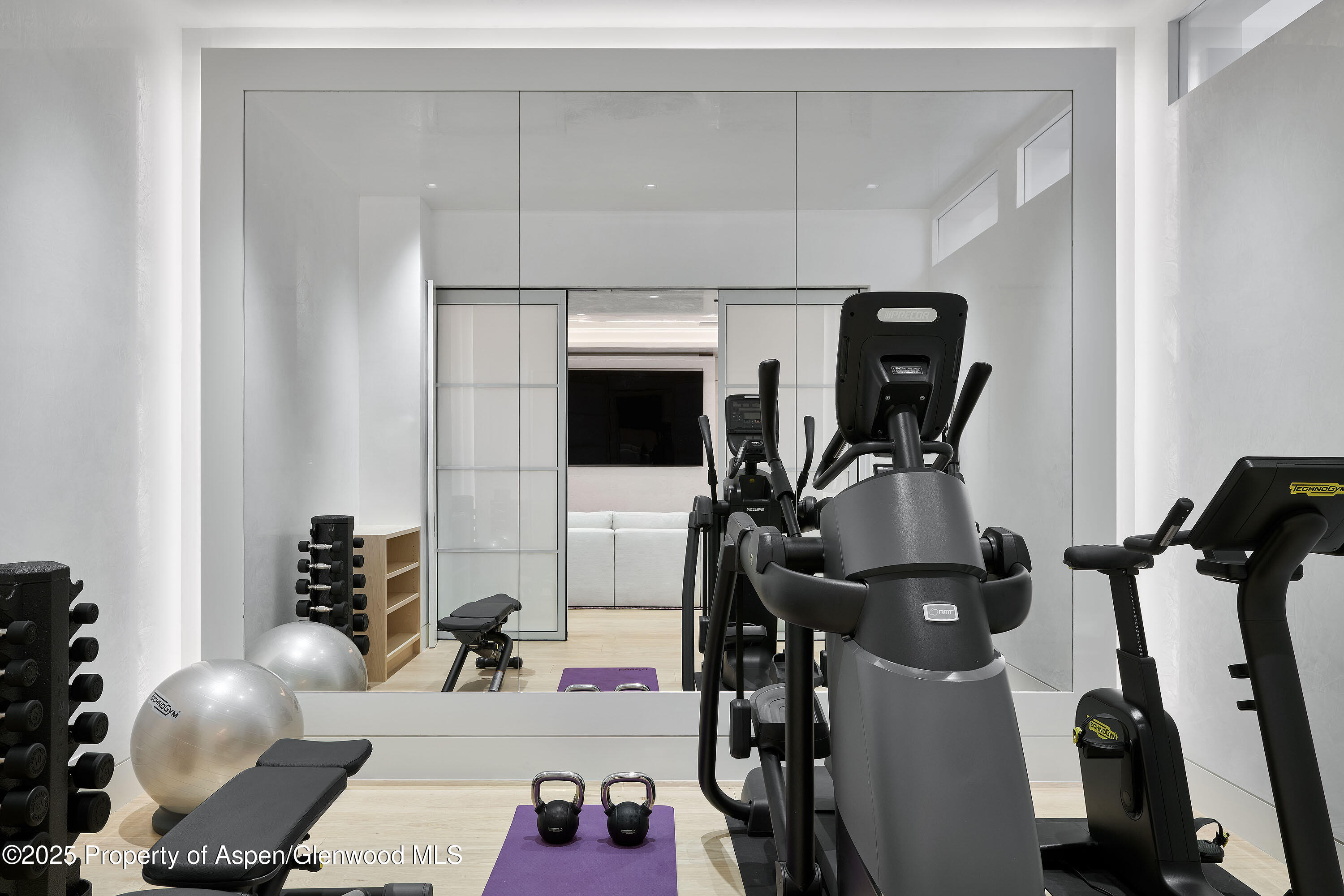 227 E Bleeker Street Aspen CO 81611