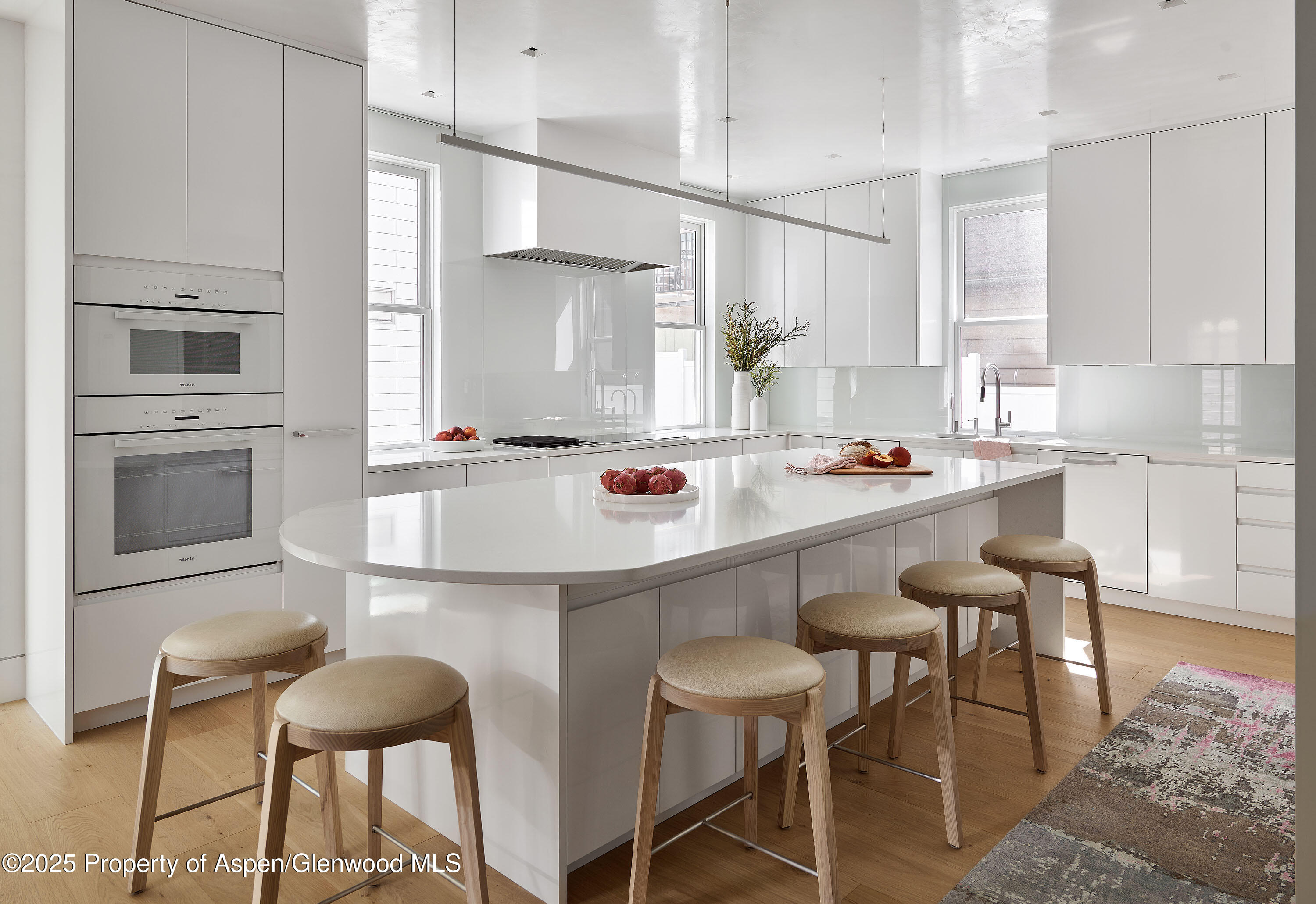 227 E Bleeker Street Aspen CO 81611