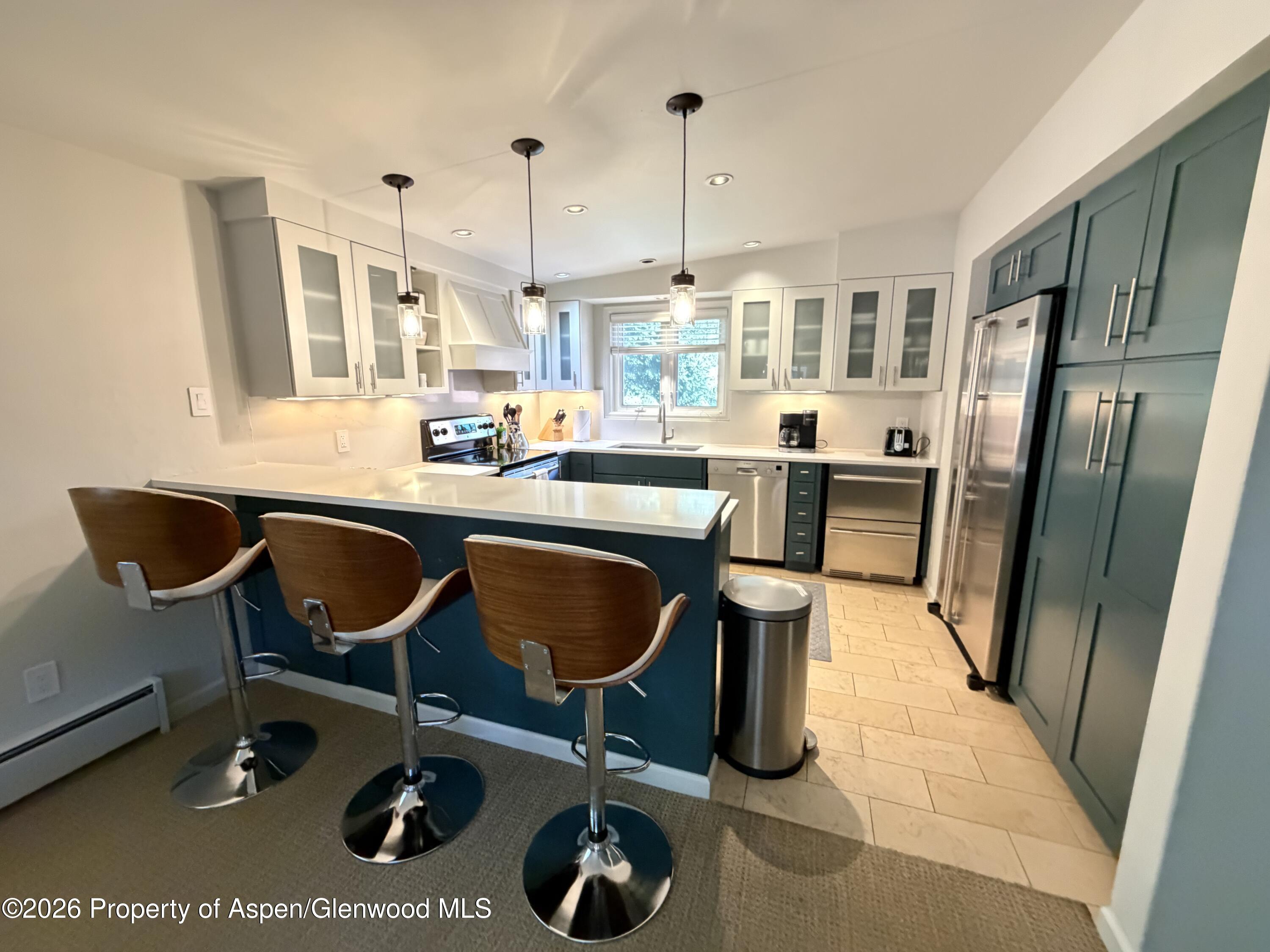805 E Cooper Avenue Aspen CO 81611
