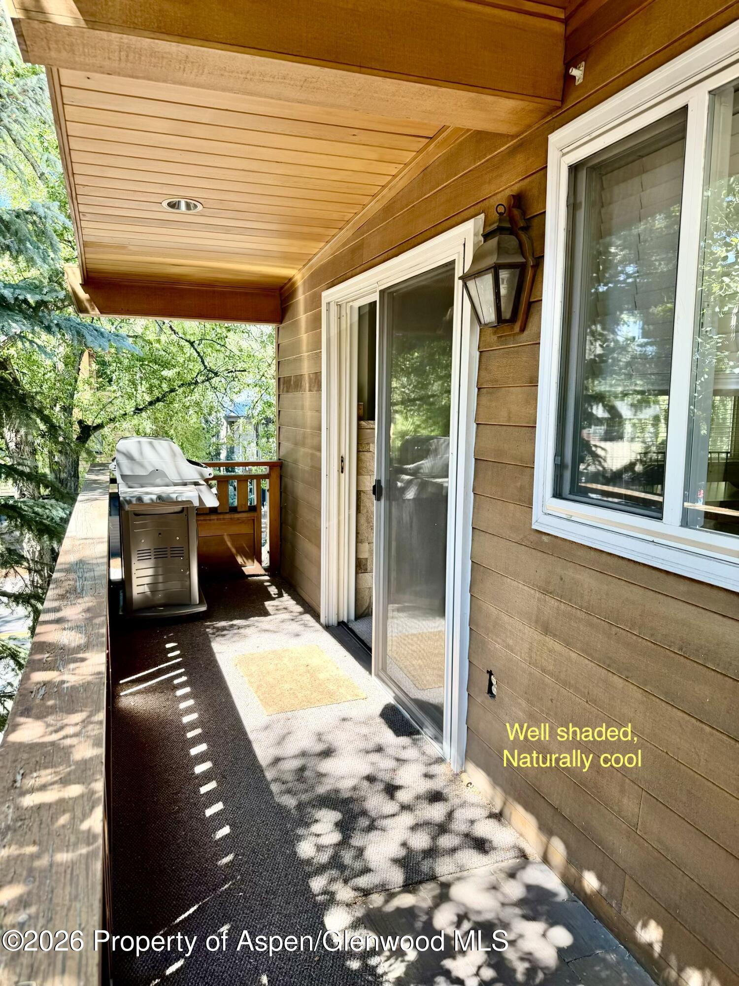 805 E Cooper Avenue Aspen CO 81611