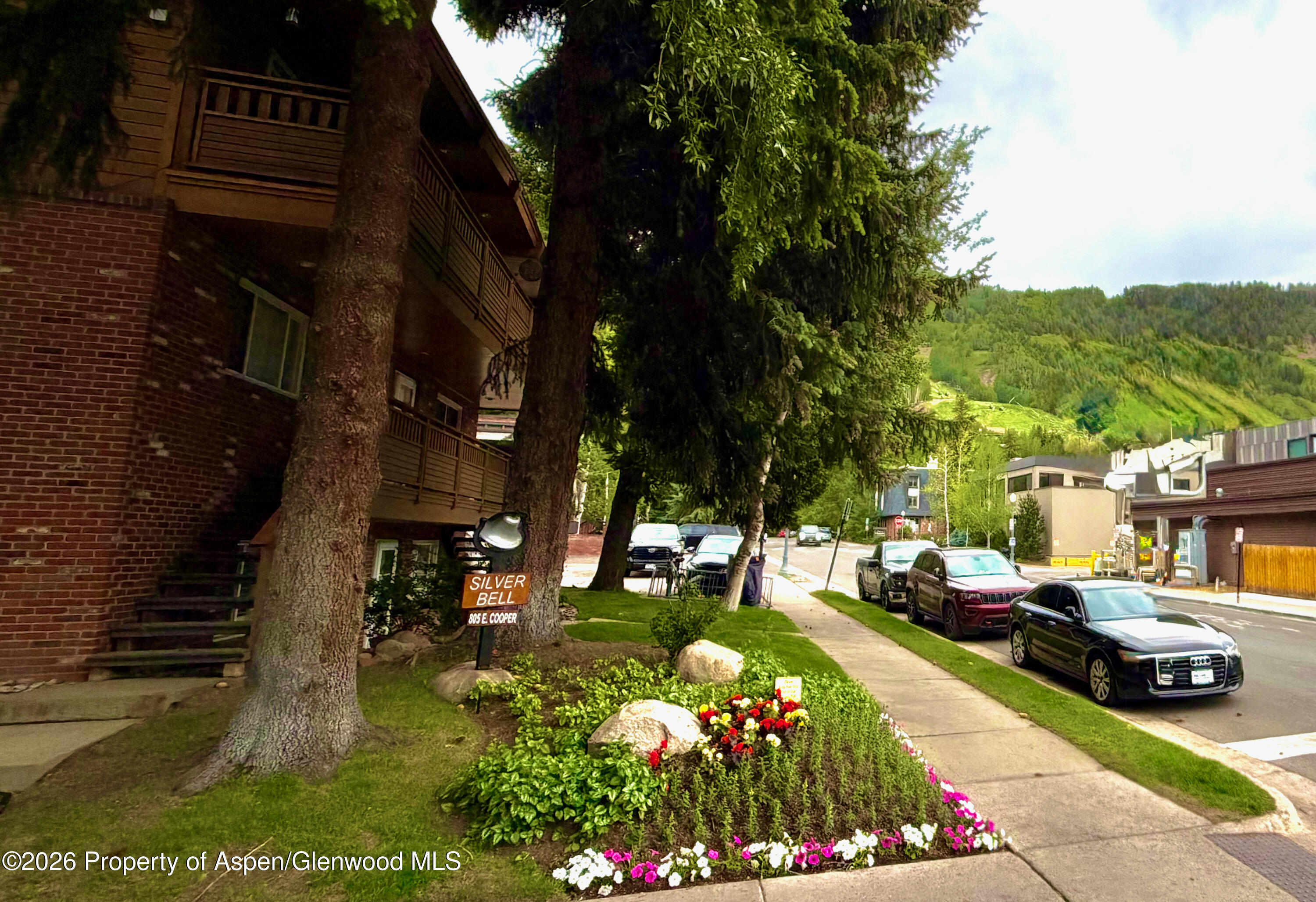 805 E Cooper Avenue Aspen CO 81611