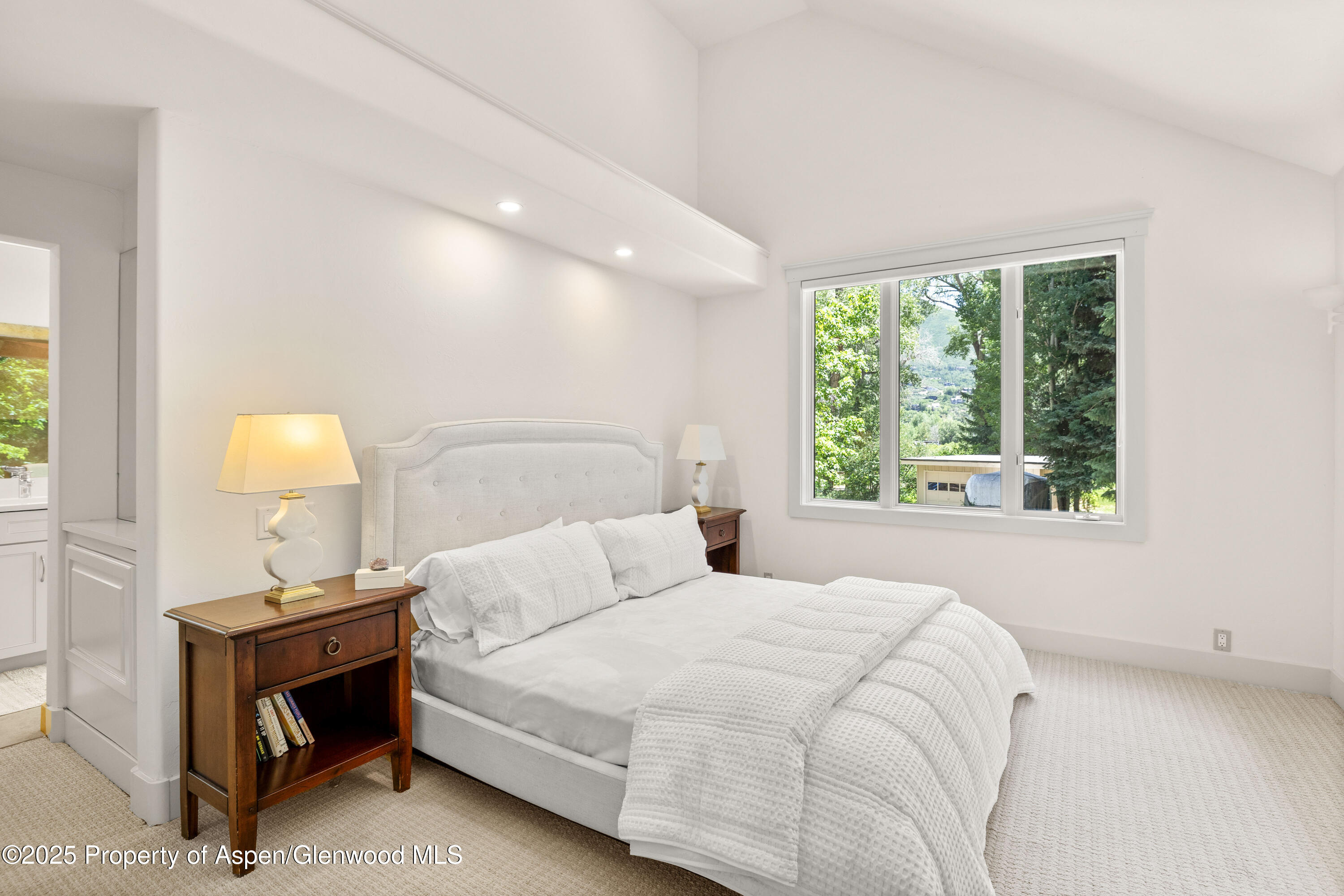 777 Castle Creek Drive Aspen CO 81611