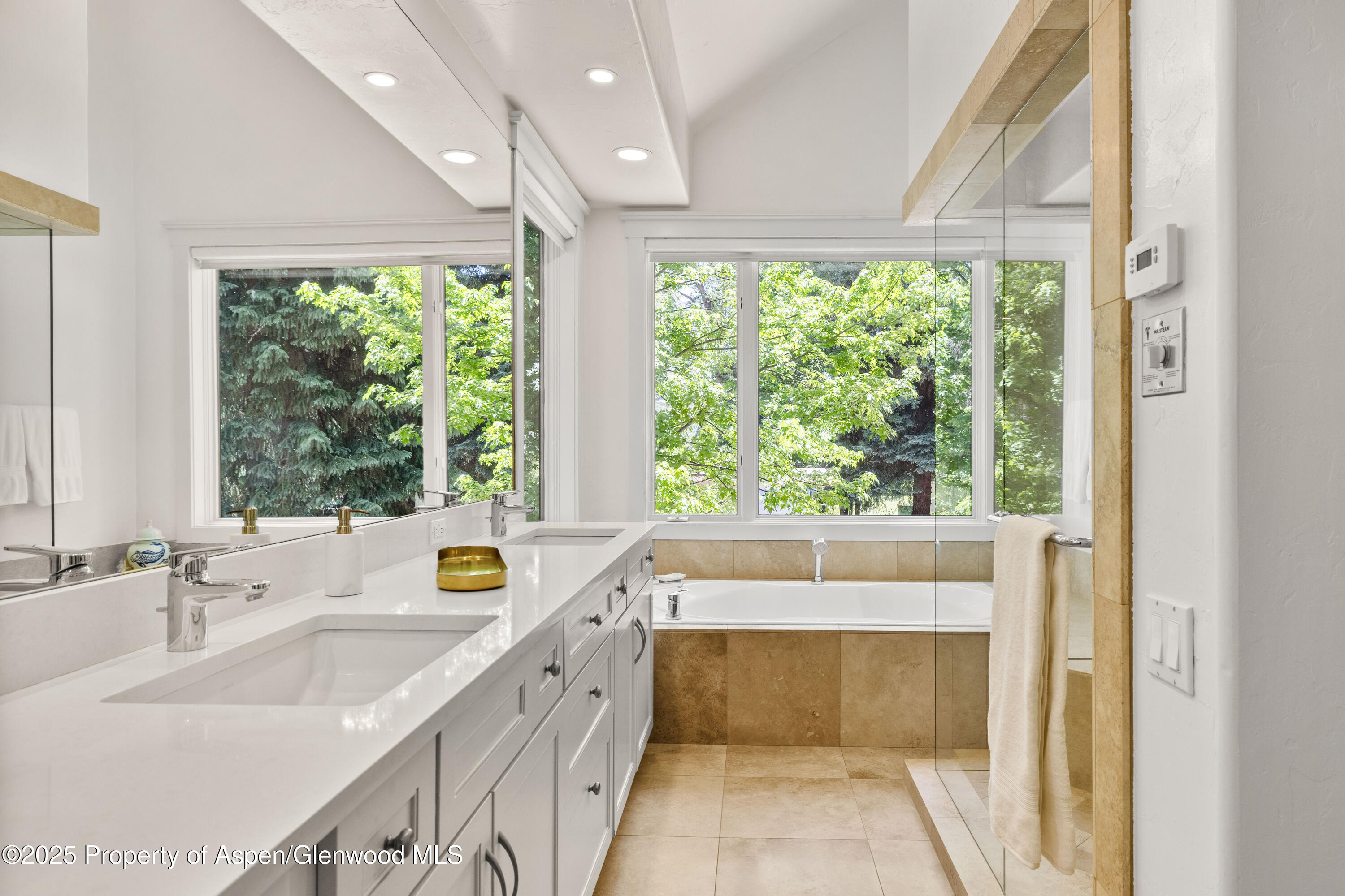 777 Castle Creek Drive Aspen CO 81611