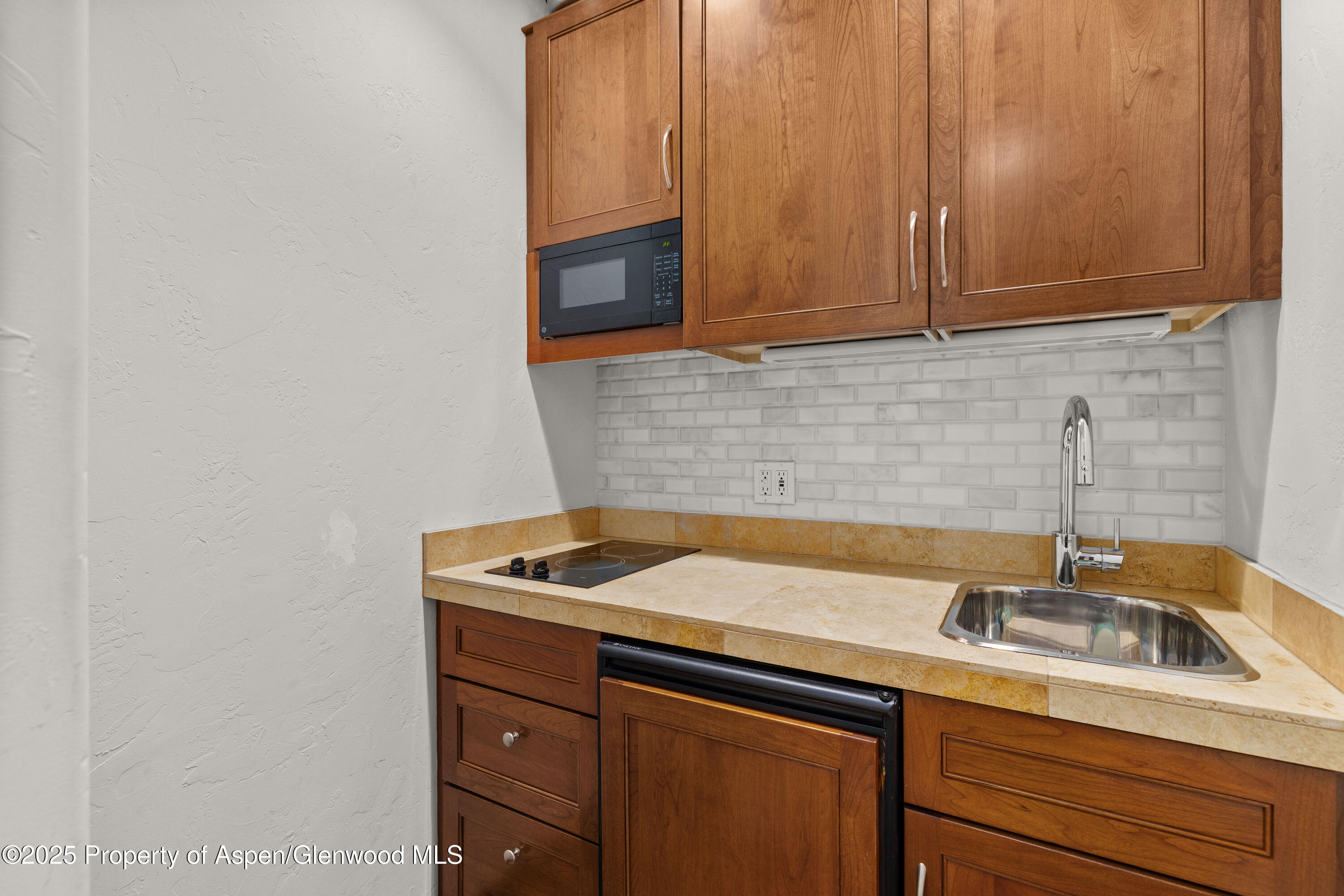 777 Castle Creek Drive Aspen CO 81611