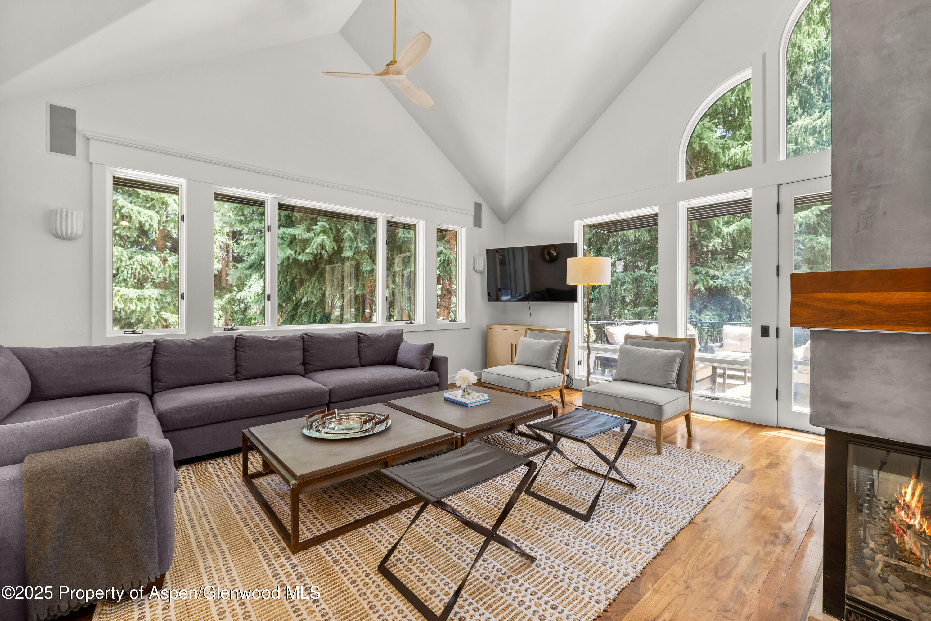 777 Castle Creek Drive Aspen CO 81611