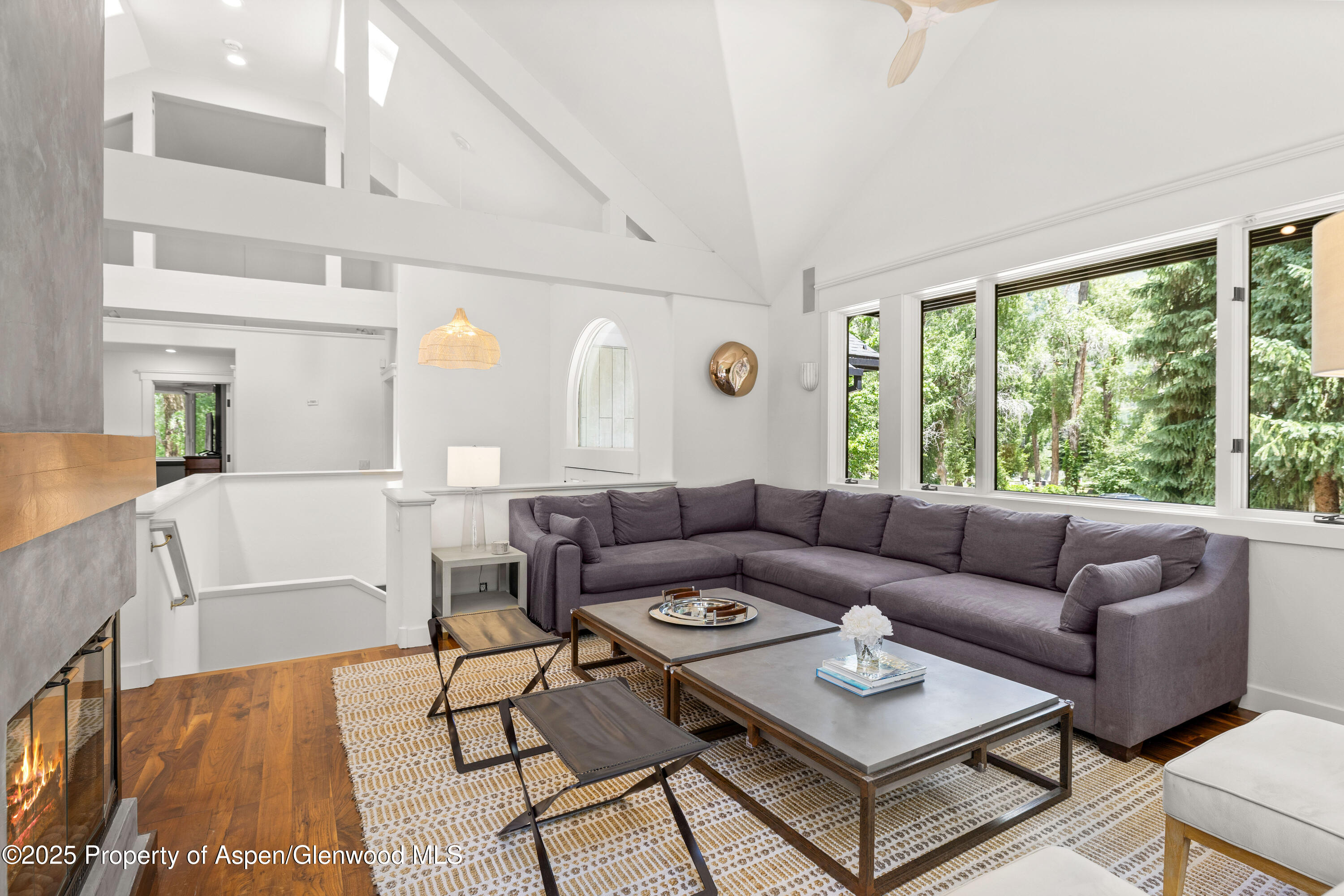 777 Castle Creek Drive Aspen CO 81611