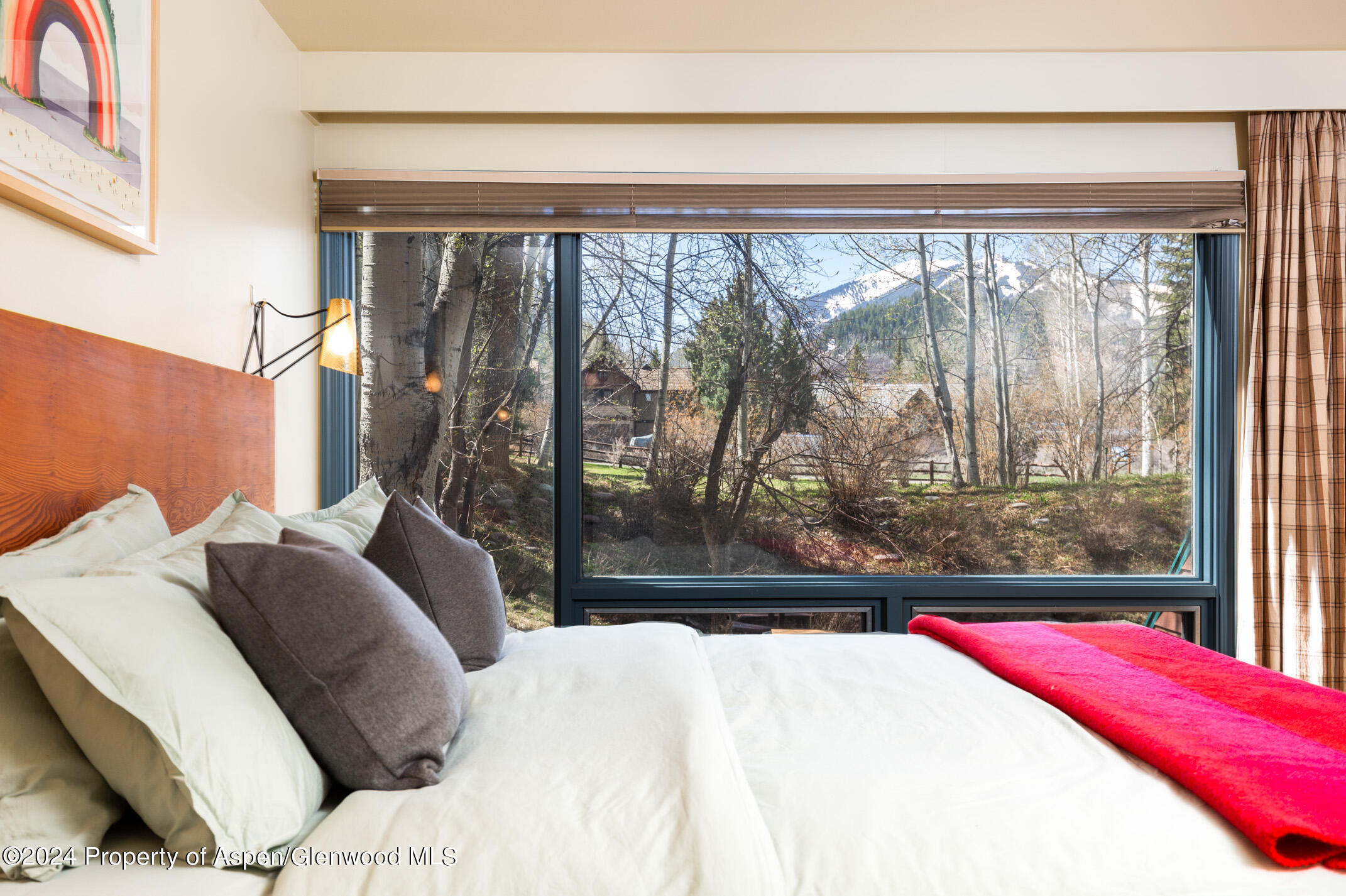 925 W North Street Aspen CO 81611