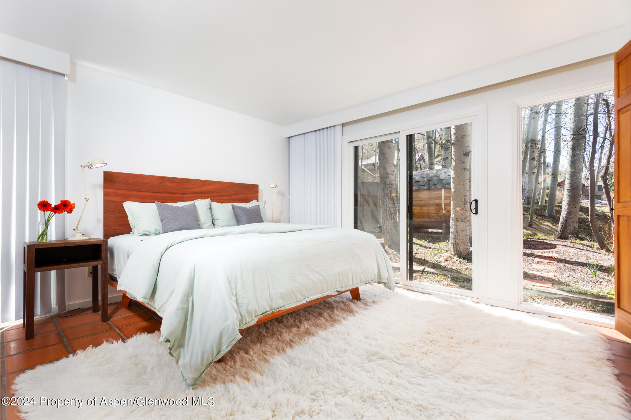 925 W North Street Aspen CO 81611