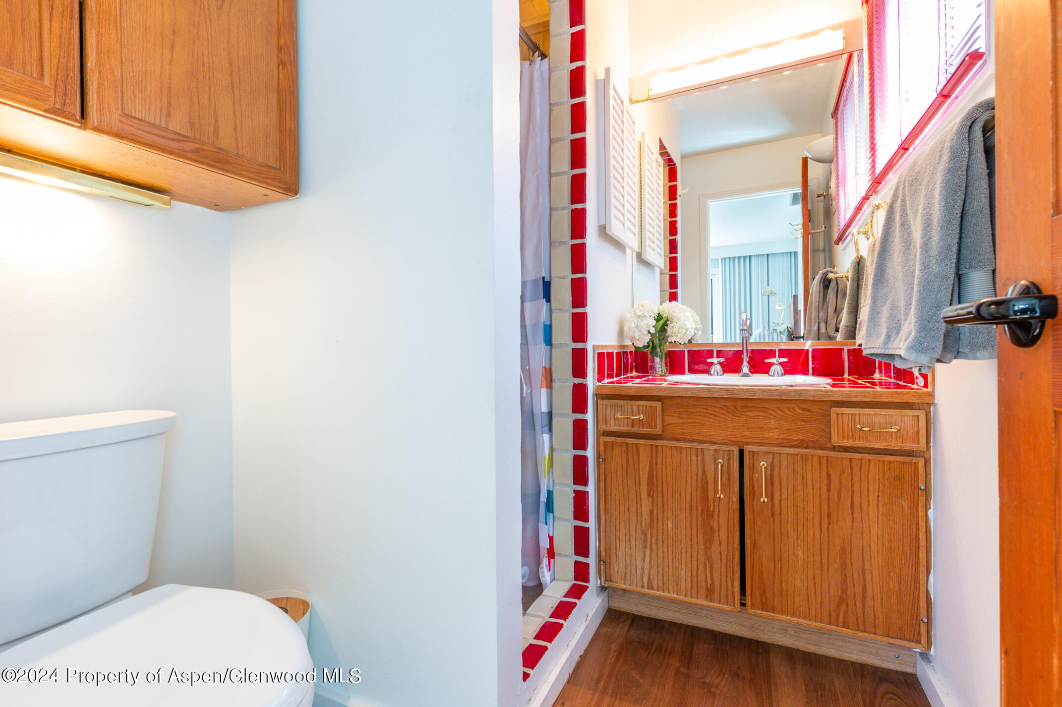 925 W North Street Aspen CO 81611