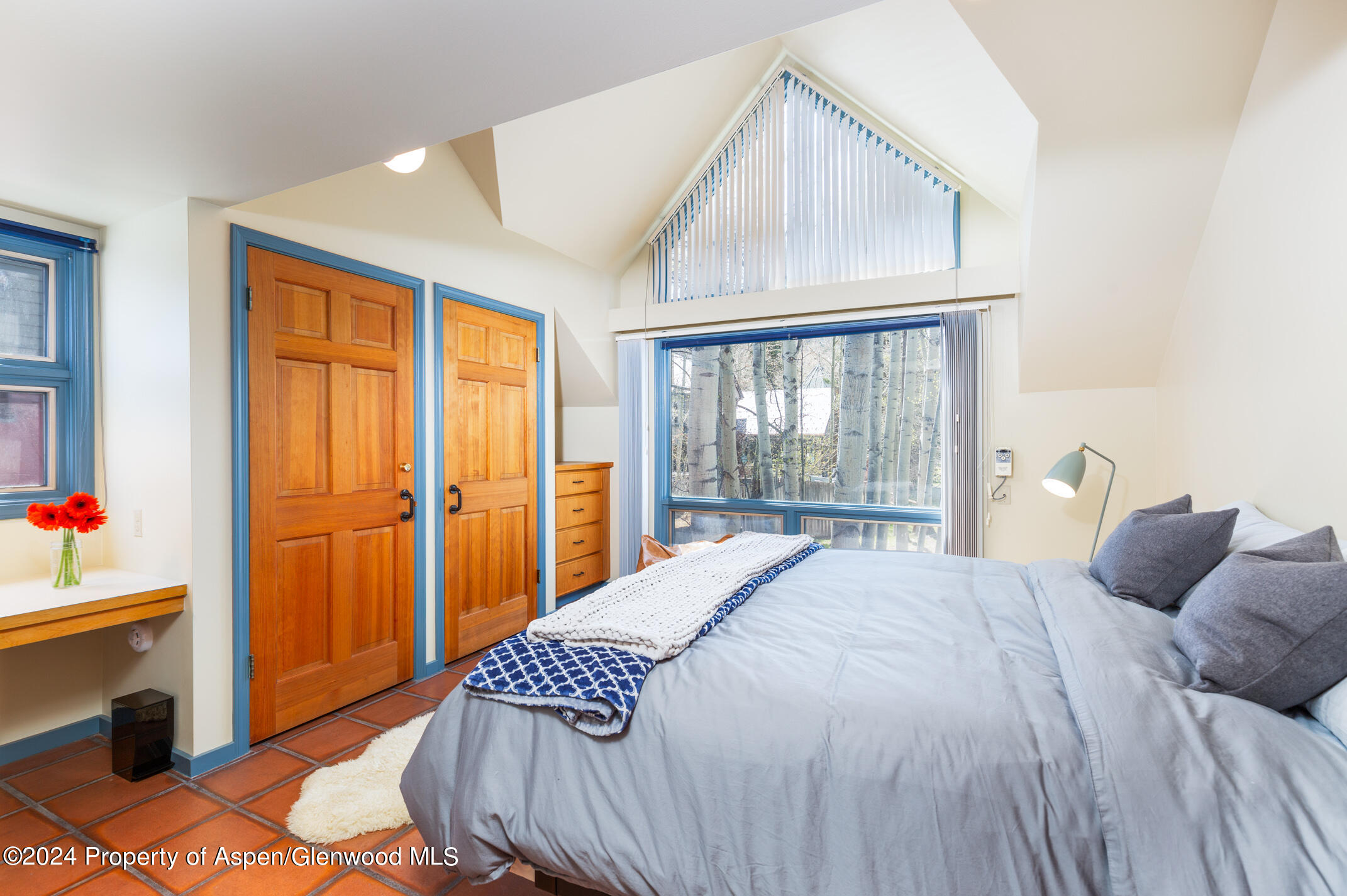 925 W North Street Aspen CO 81611