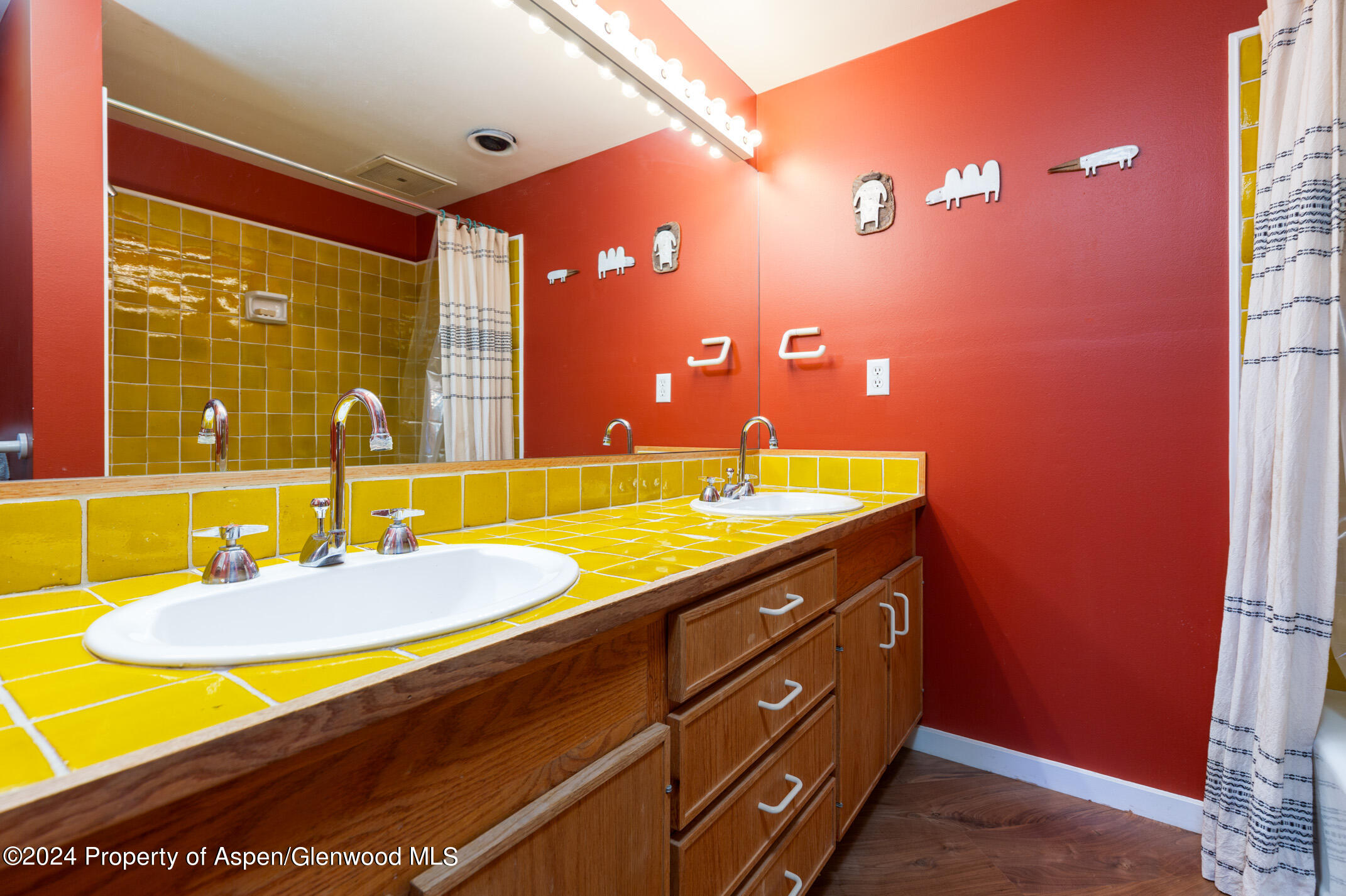 925 W North Street Aspen CO 81611