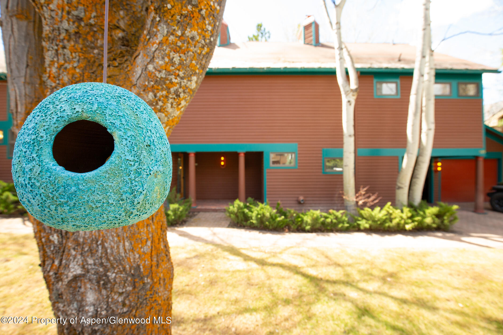 925 W North Street Aspen CO 81611