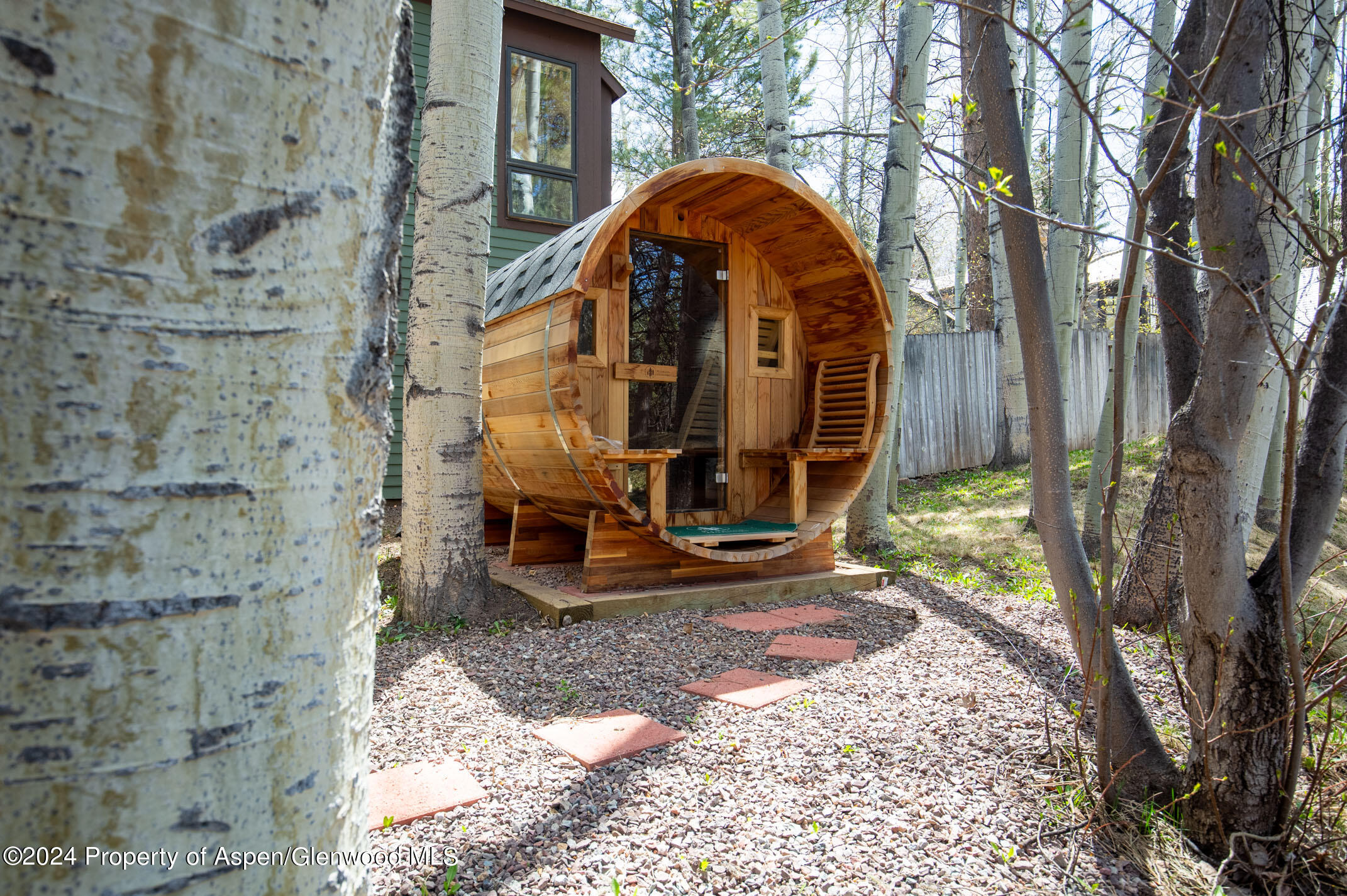 925 W North Street Aspen CO 81611