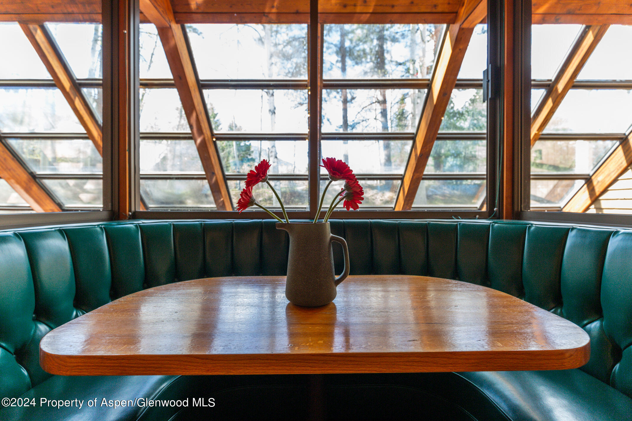 925 W North Street Aspen CO 81611