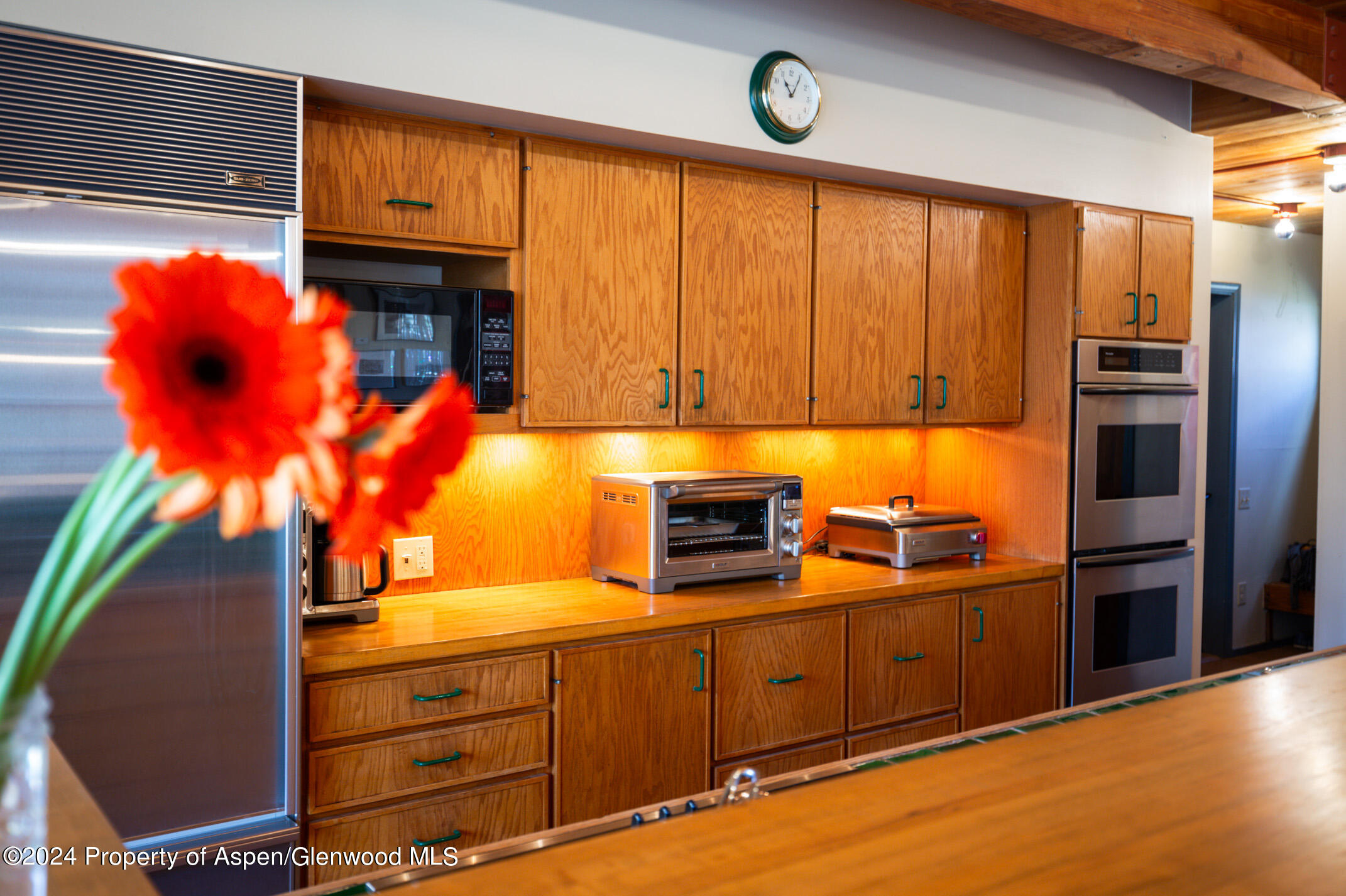 925 W North Street Aspen CO 81611