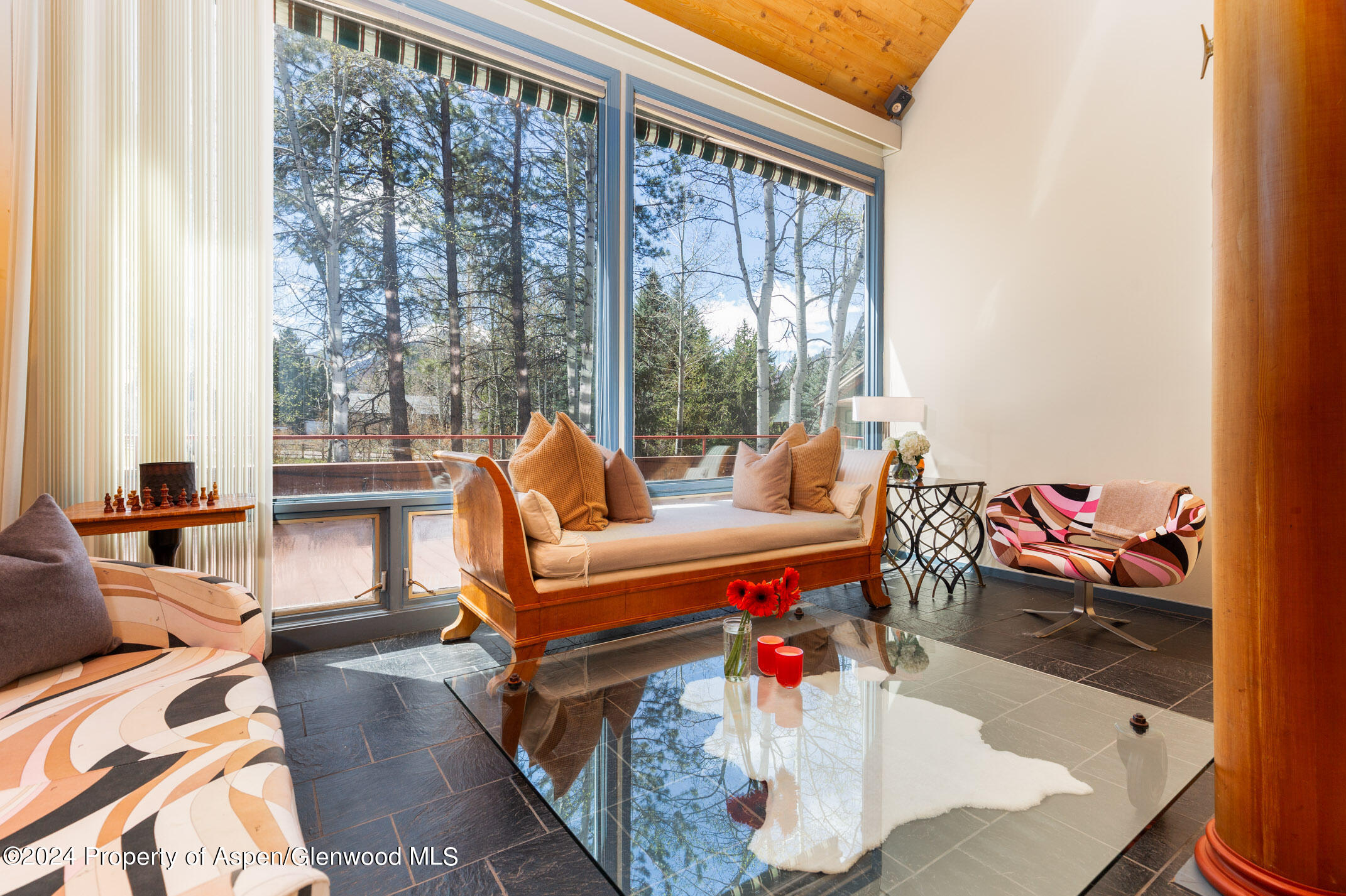 925 W North Street Aspen CO 81611