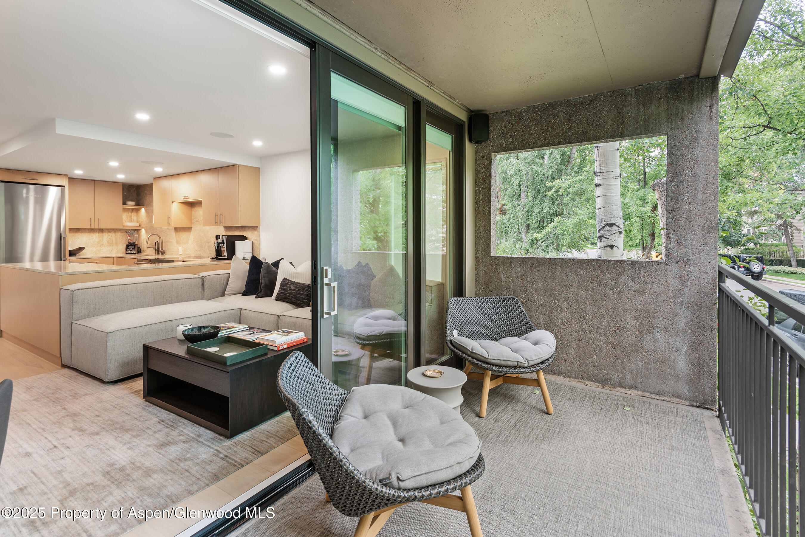 800 E Hopkins Avenue Aspen CO 81611