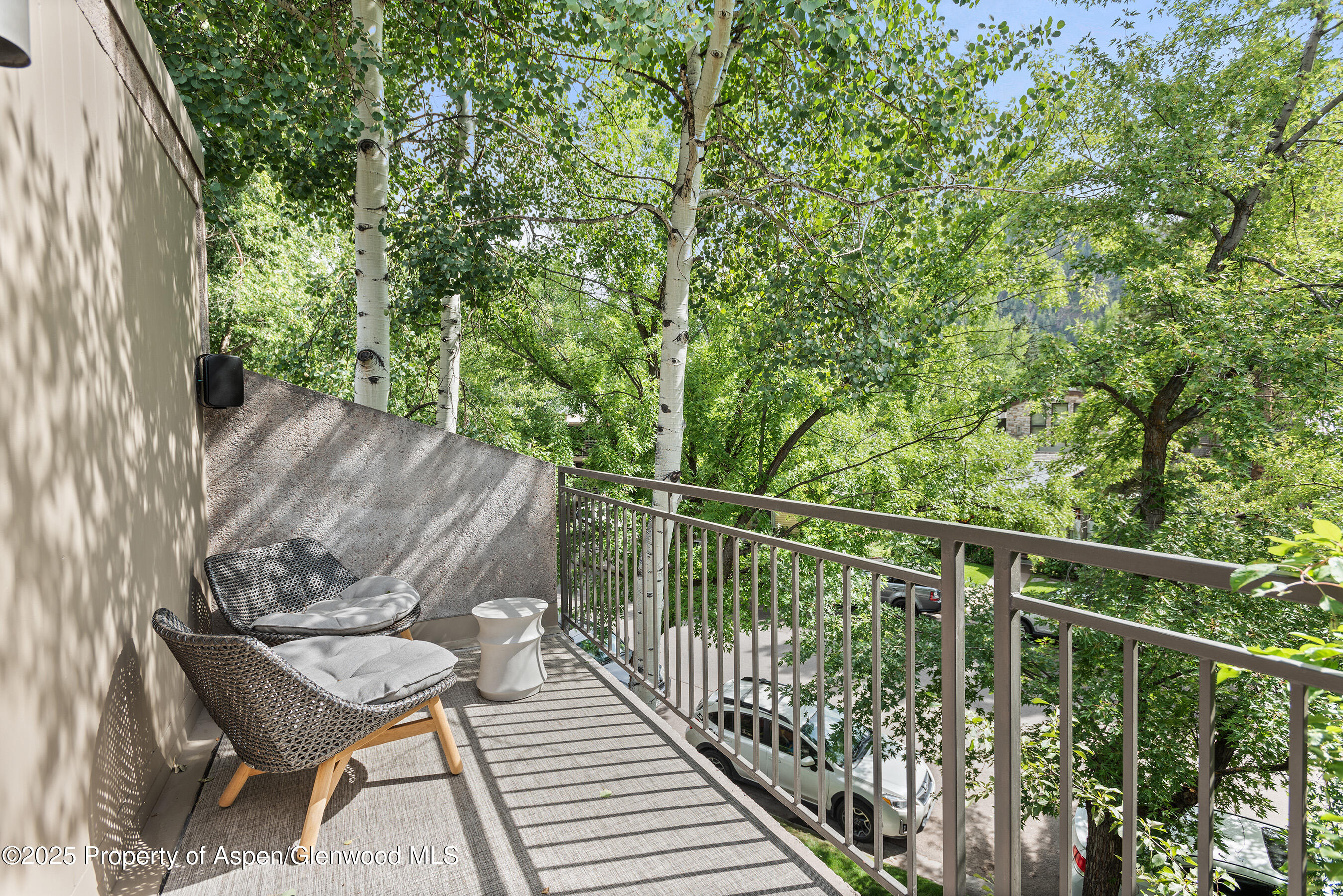 800 E Hopkins Avenue Aspen CO 81611