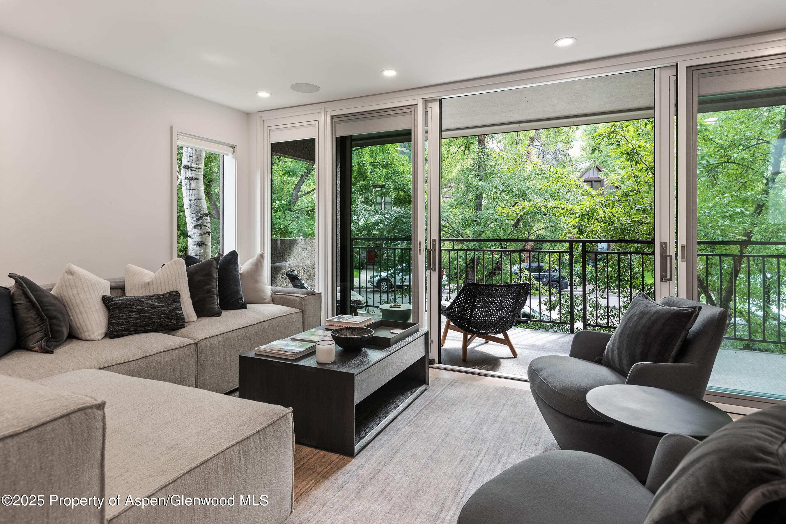 800 E Hopkins Avenue Aspen CO 81611