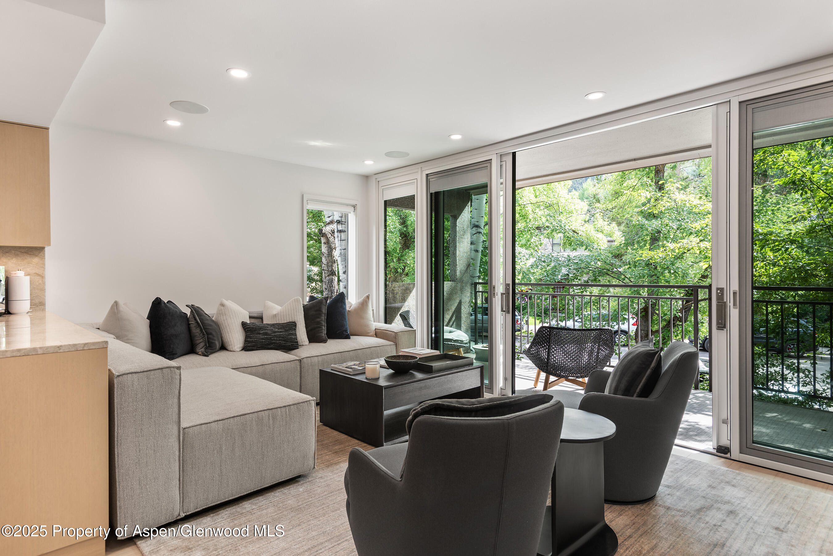800 E Hopkins Avenue Aspen CO 81611